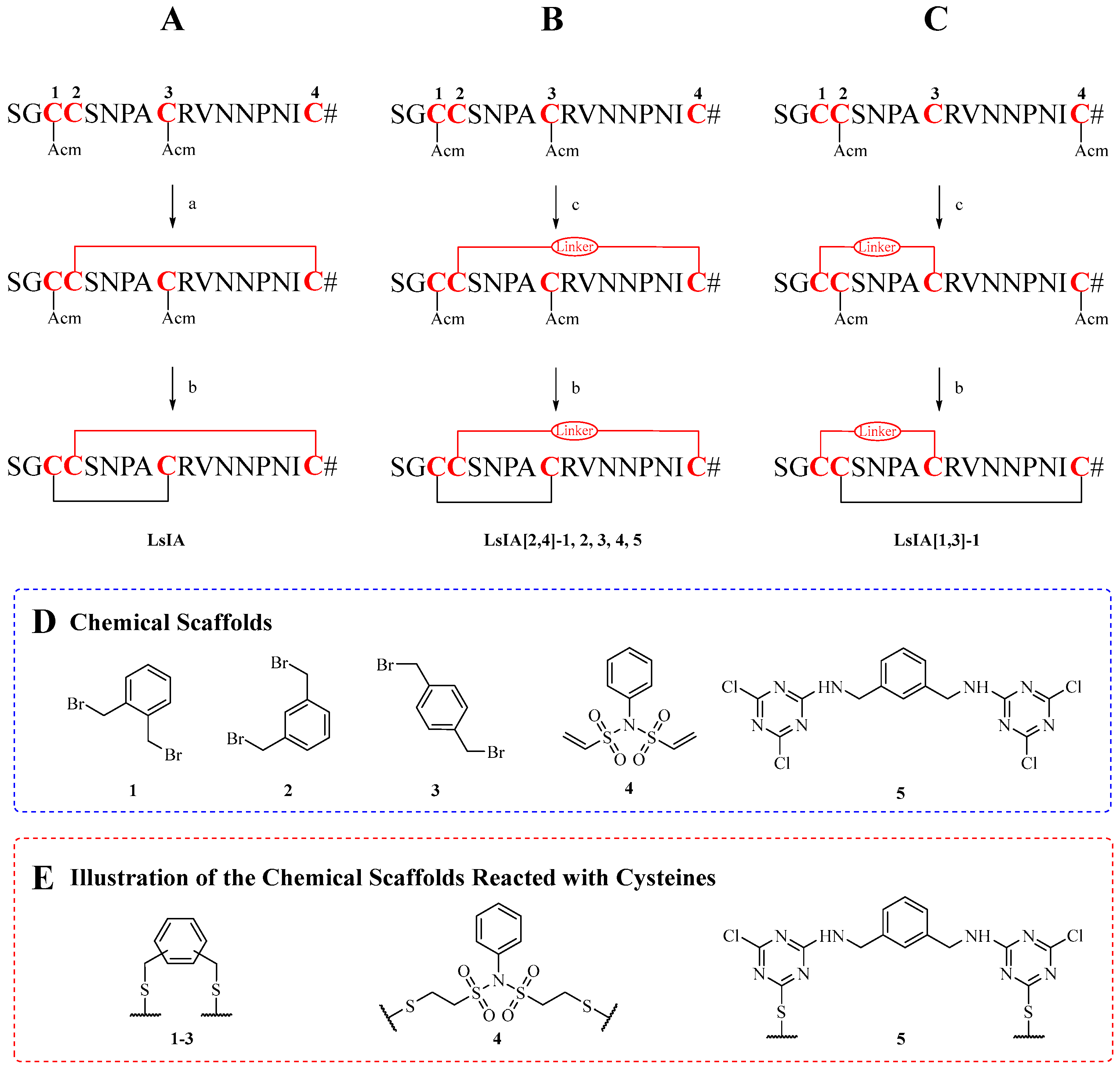 Marinedrugs 22 00314 sch001