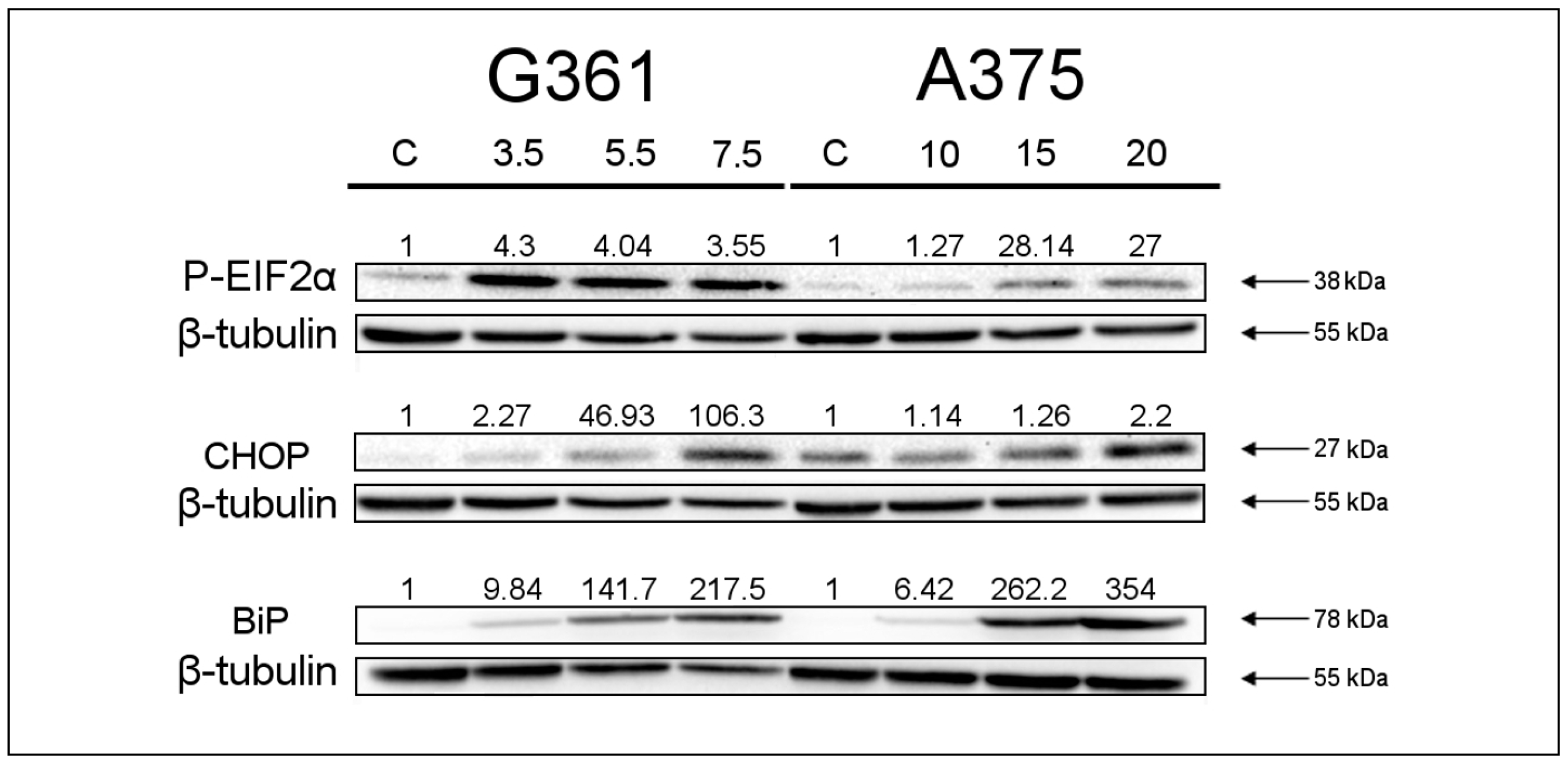 Marinedrugs 22 00315 g004