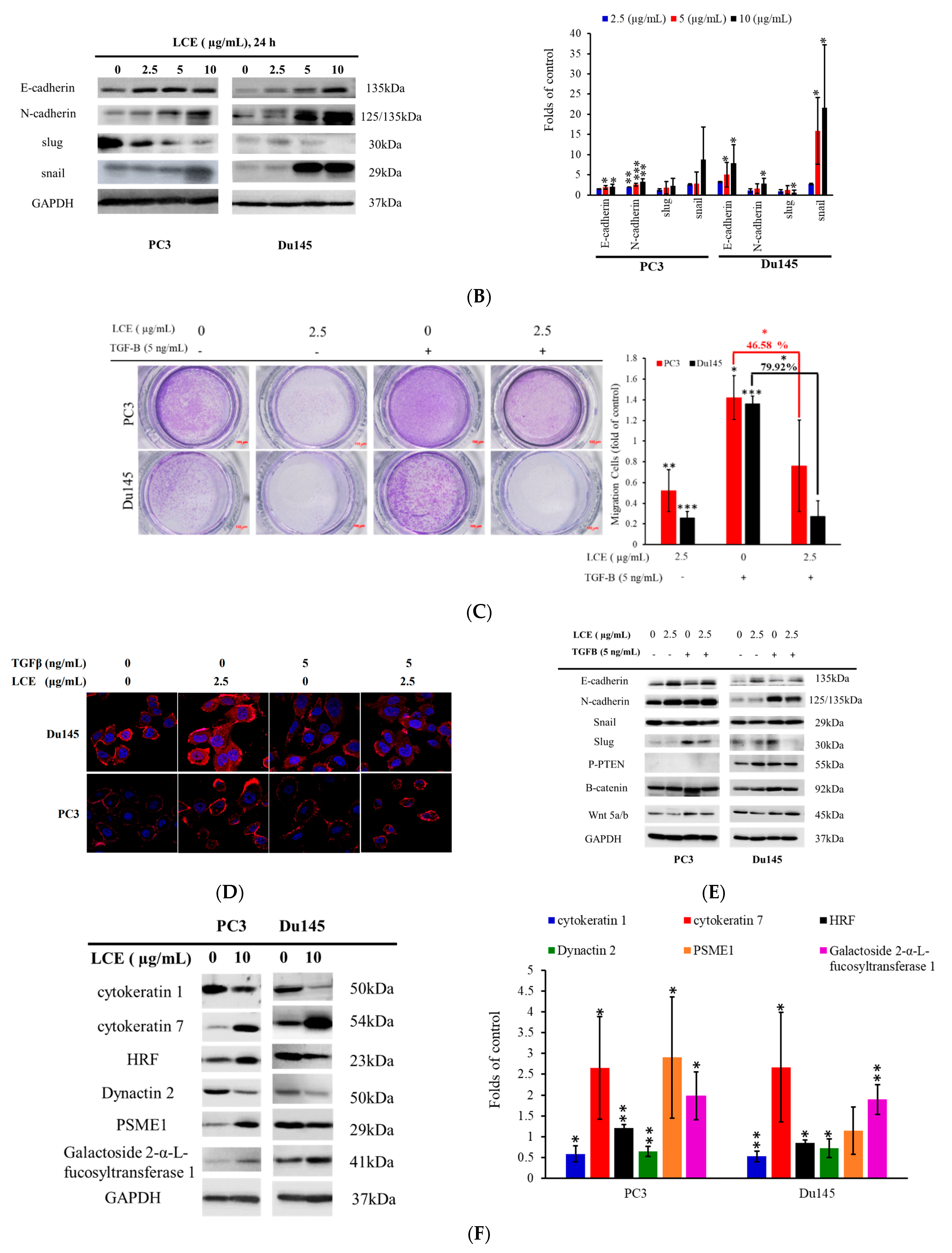 Marinedrugs 22 00323 g006b