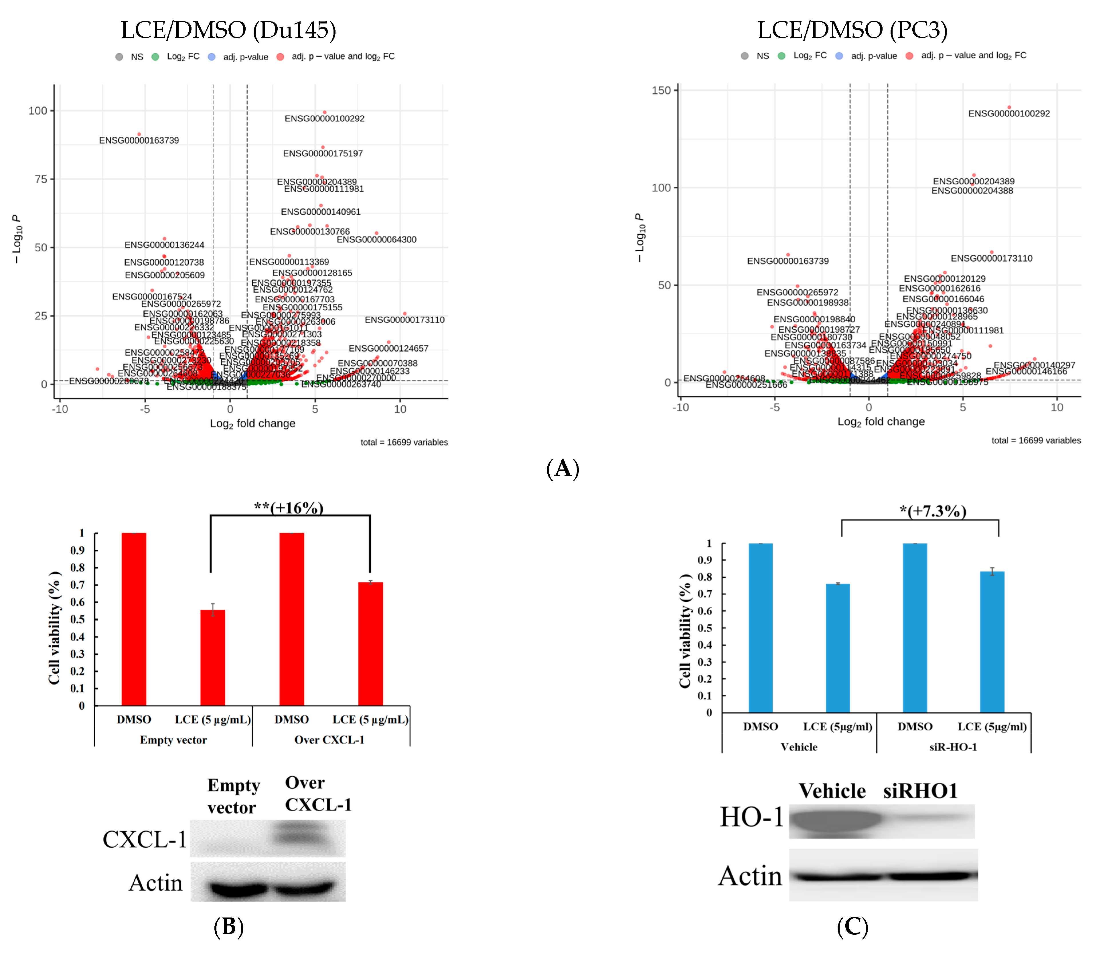 Marinedrugs 22 00323 g007