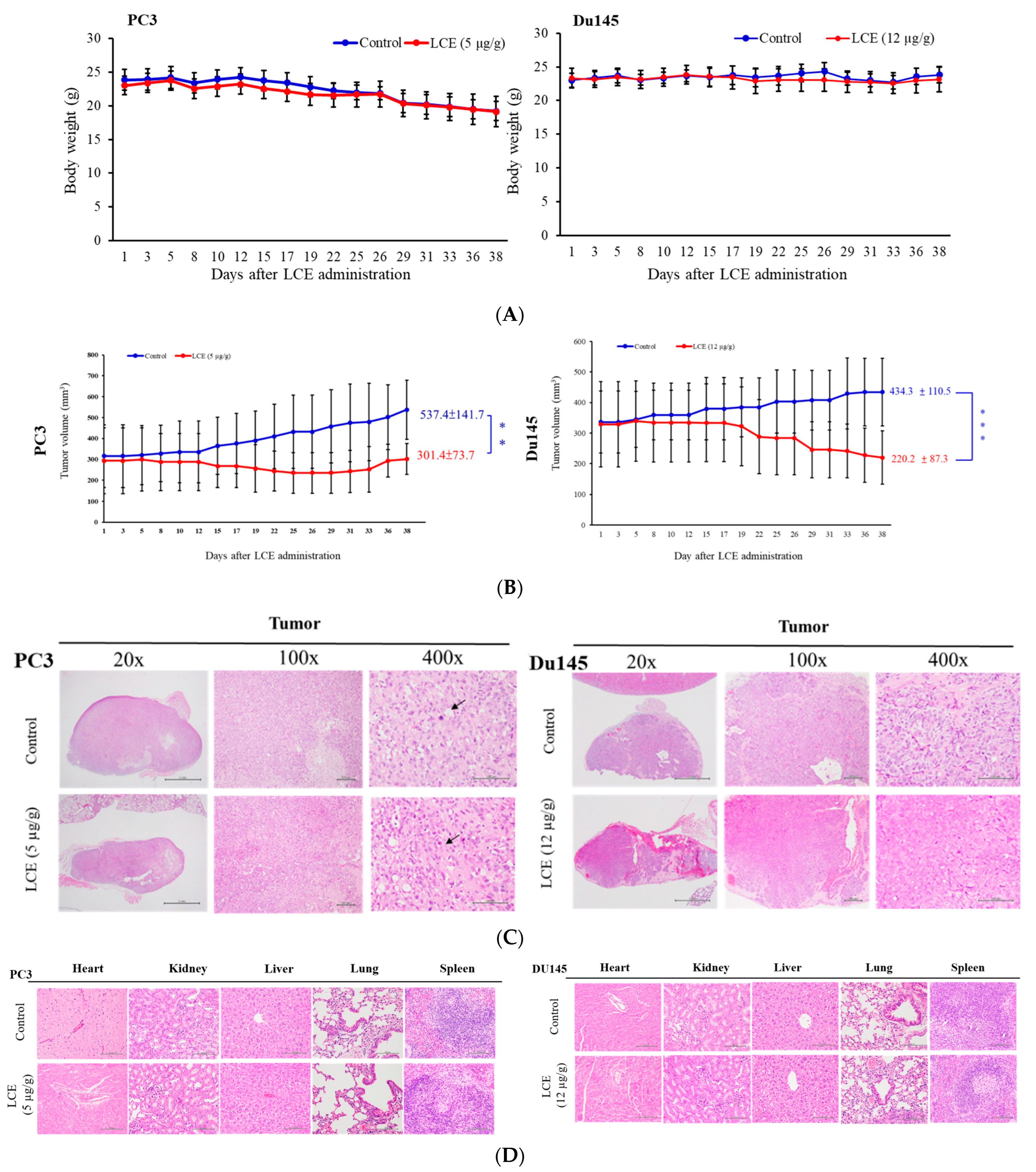 Marinedrugs 22 00323 g009