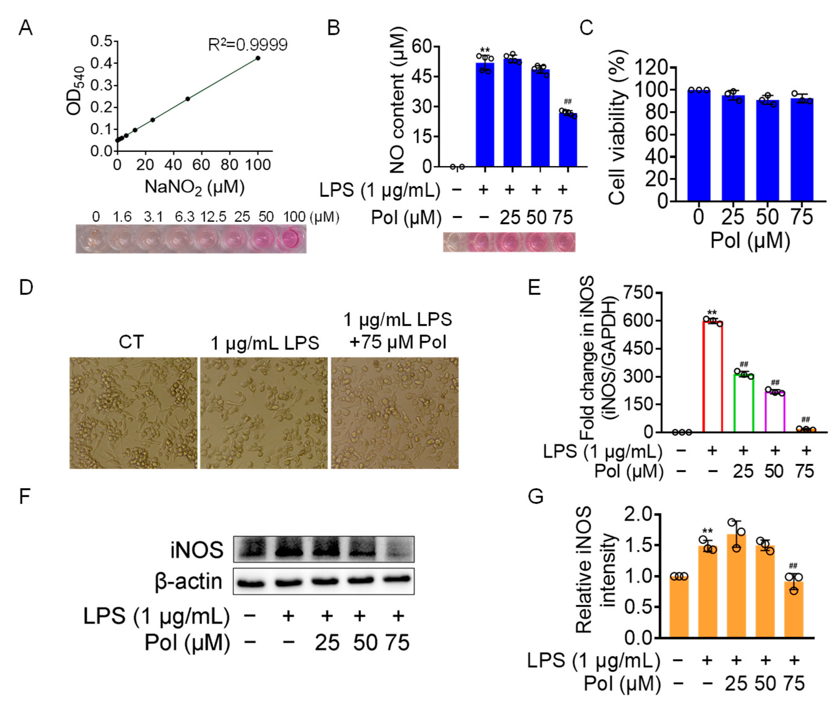 Marinedrugs 22 00324 g002