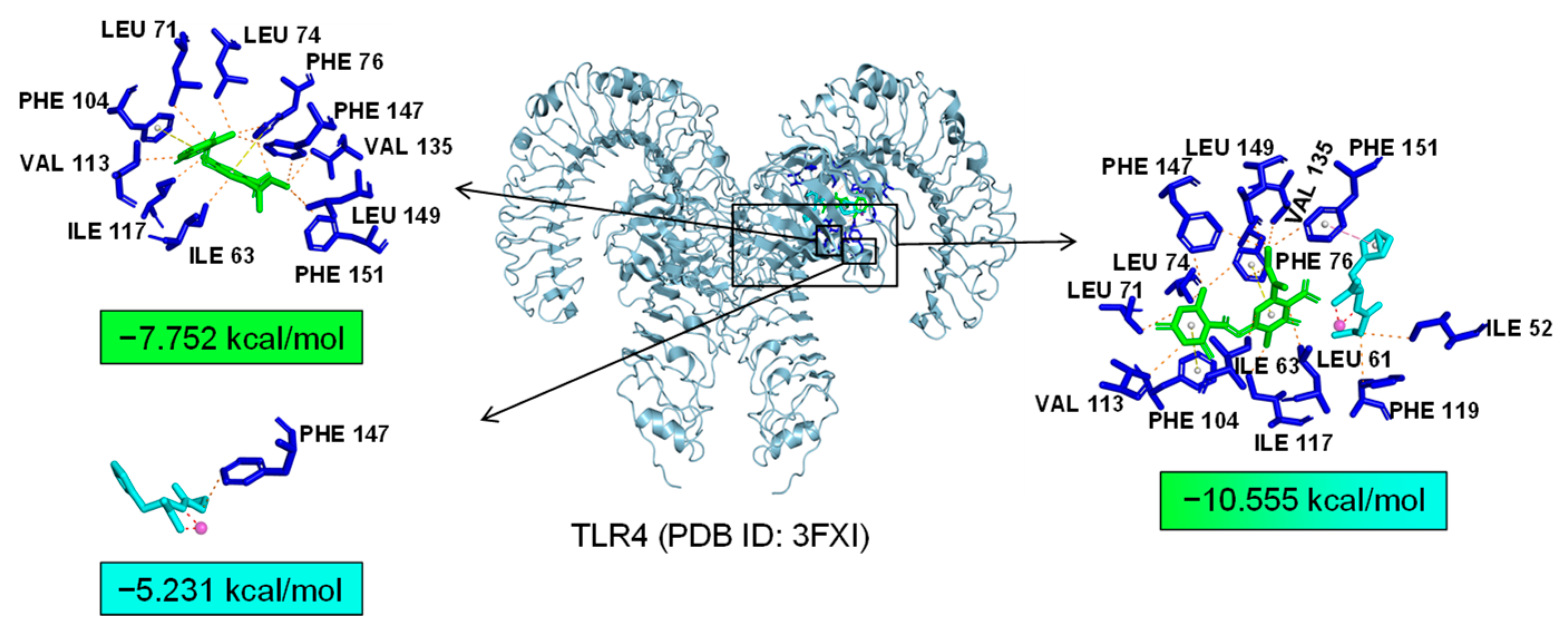 Marinedrugs 22 00324 g012
