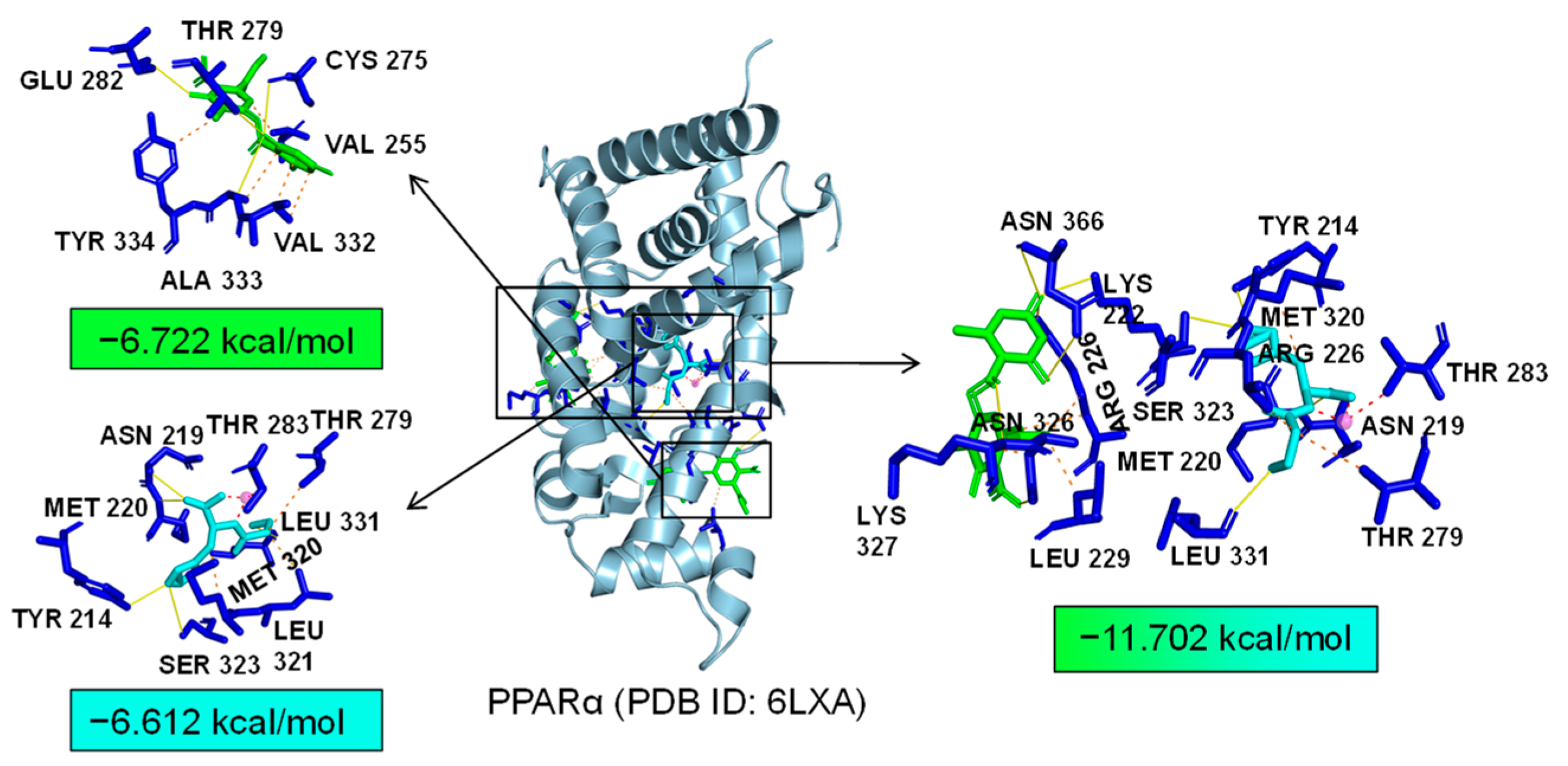 Marinedrugs 22 00324 g013