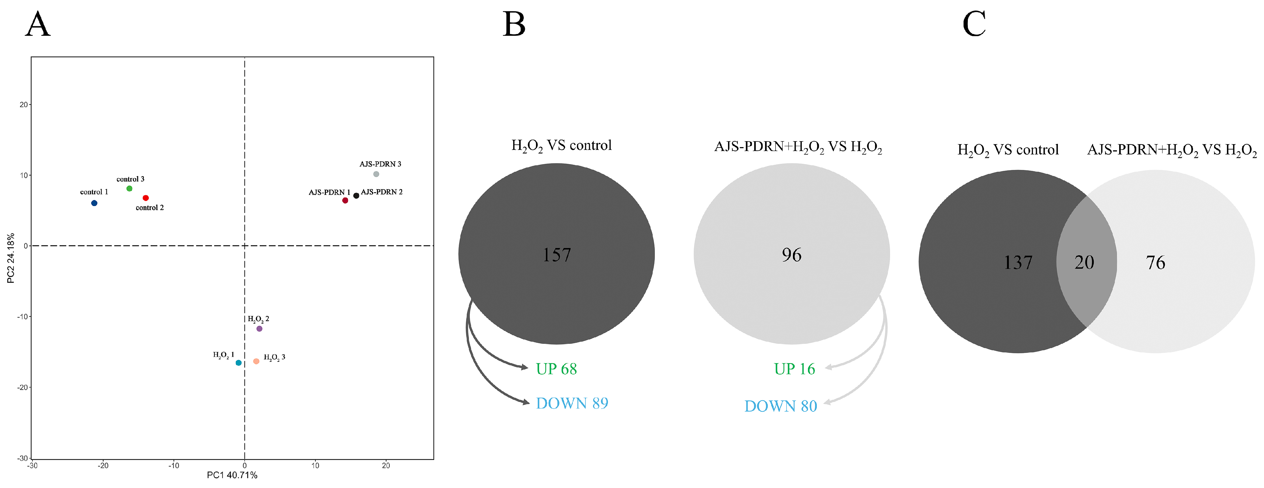 Marinedrugs 22 00325 g004