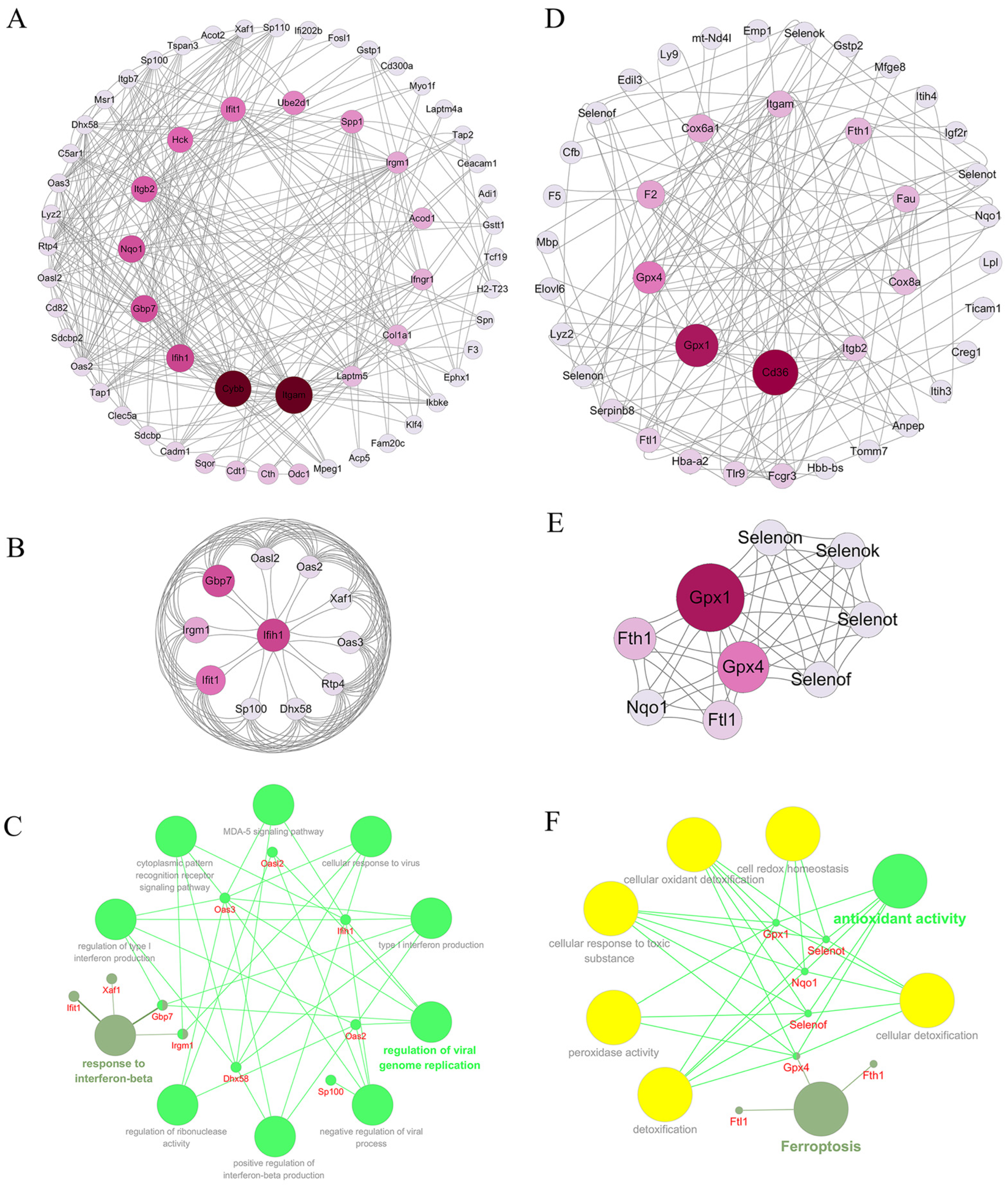 Marinedrugs 22 00325 g007