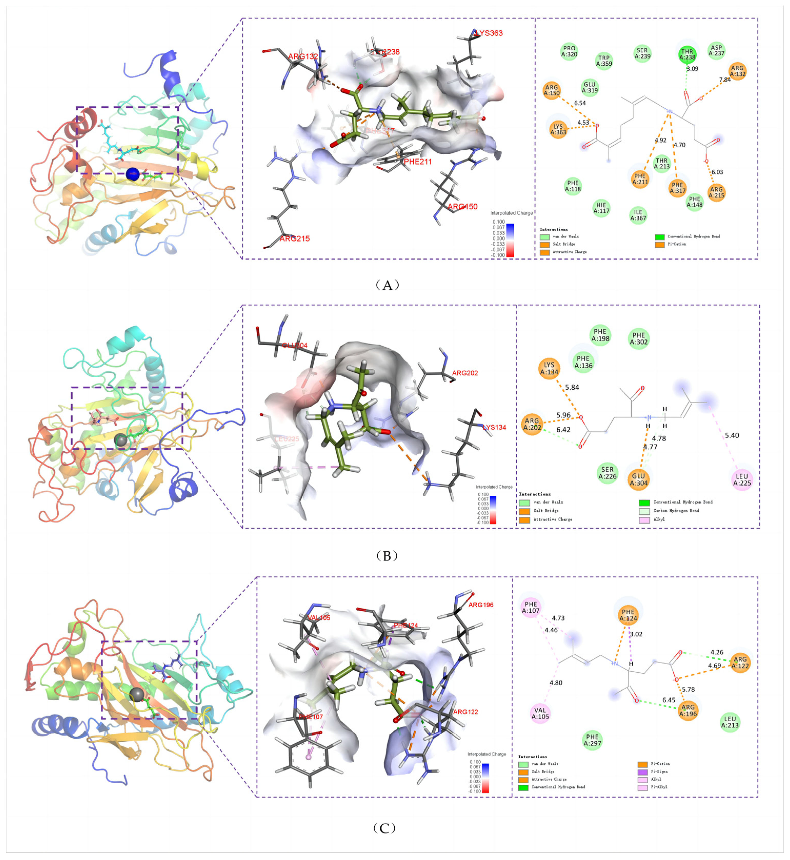 Marinedrugs 22 00326 g014