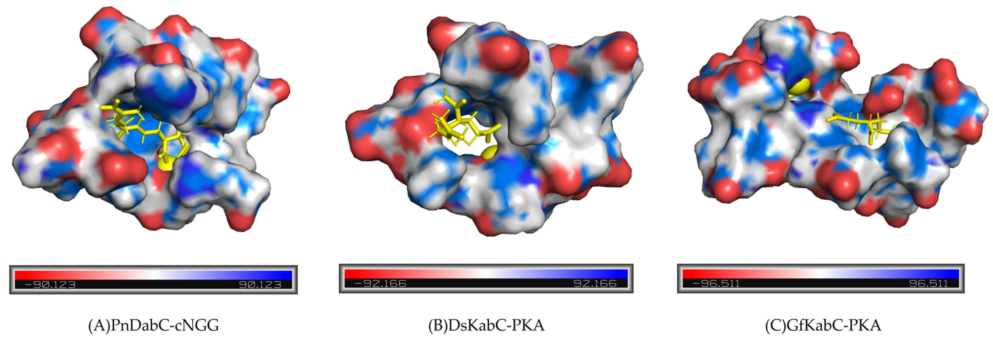 Marinedrugs 22 00326 g016