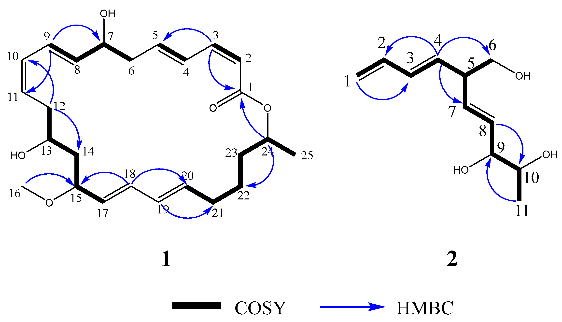 Marinedrugs 22 00331 g002