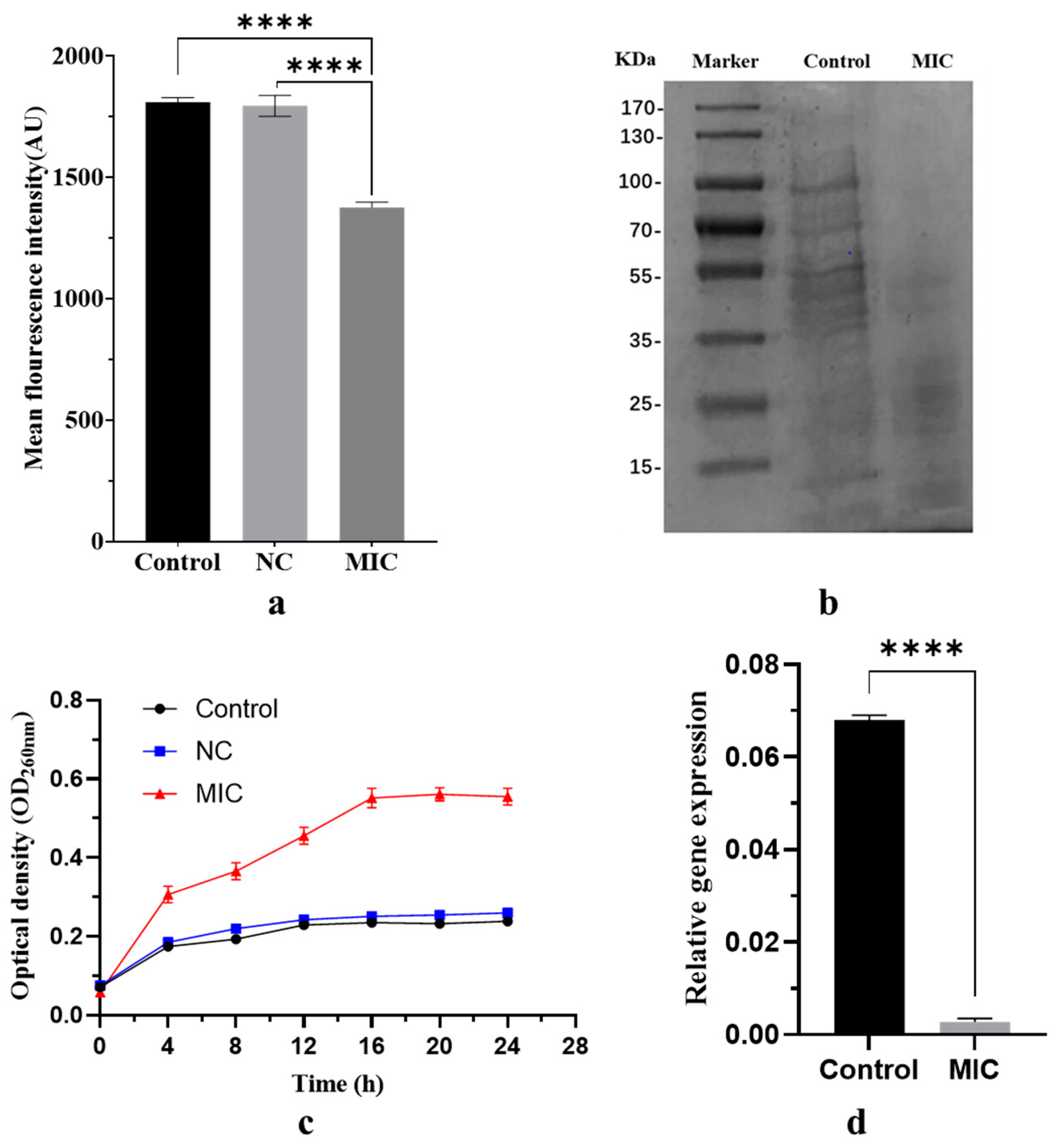 Marinedrugs 22 00331 g006