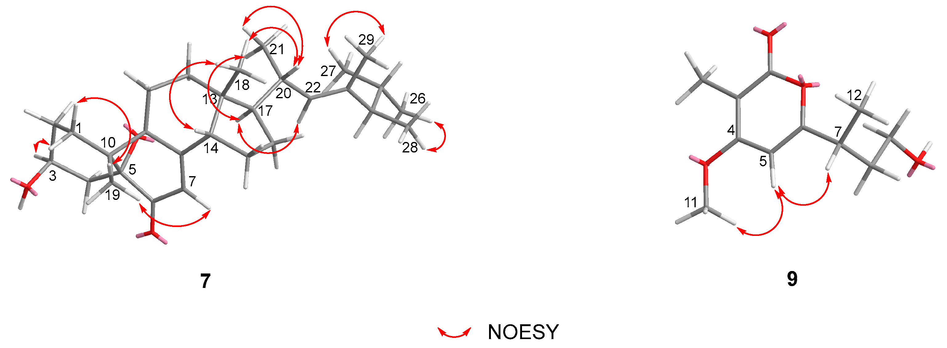 Marinedrugs 22 00332 g004