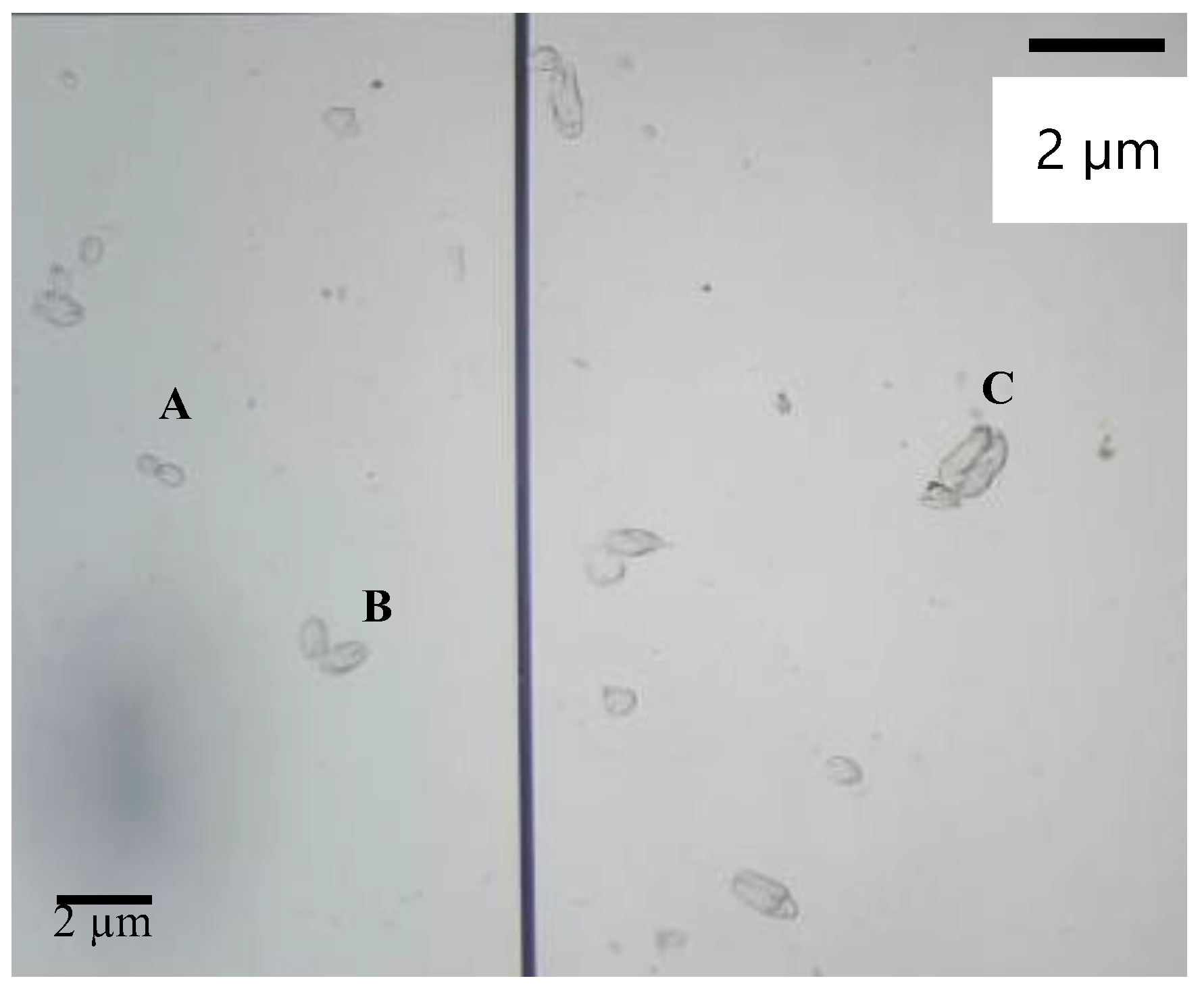 Marinedrugs 22 00333 g002