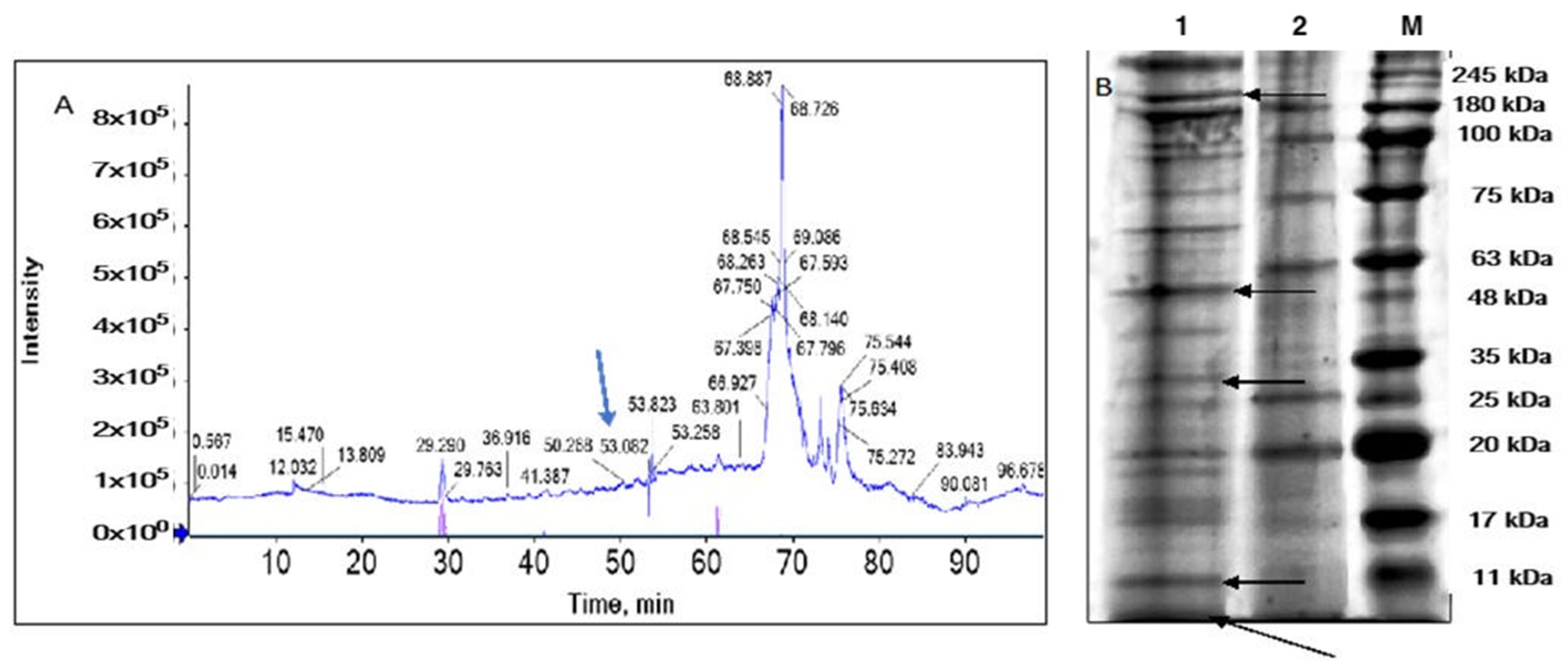 Marinedrugs 22 00333 g003