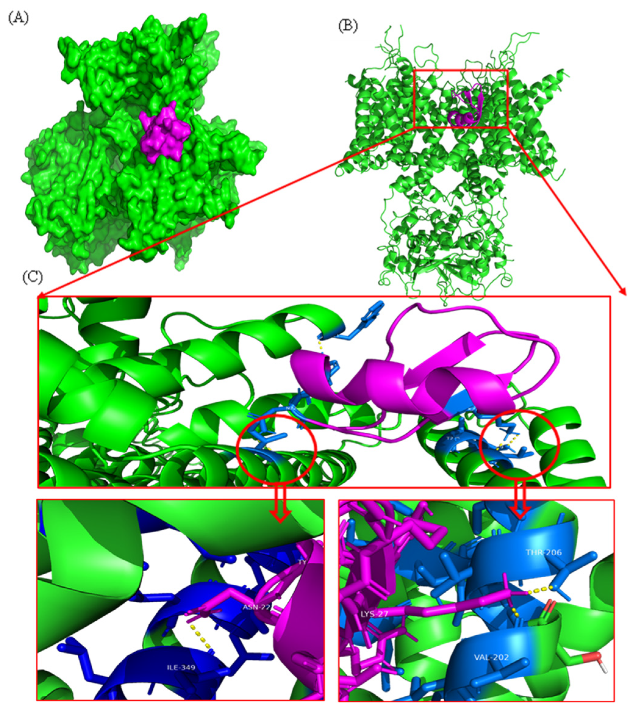 Marinedrugs 22 00333 g004