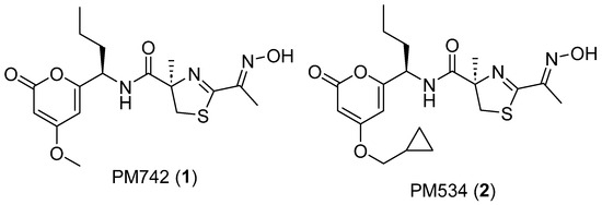 Marinedrugs 22 00339 g001