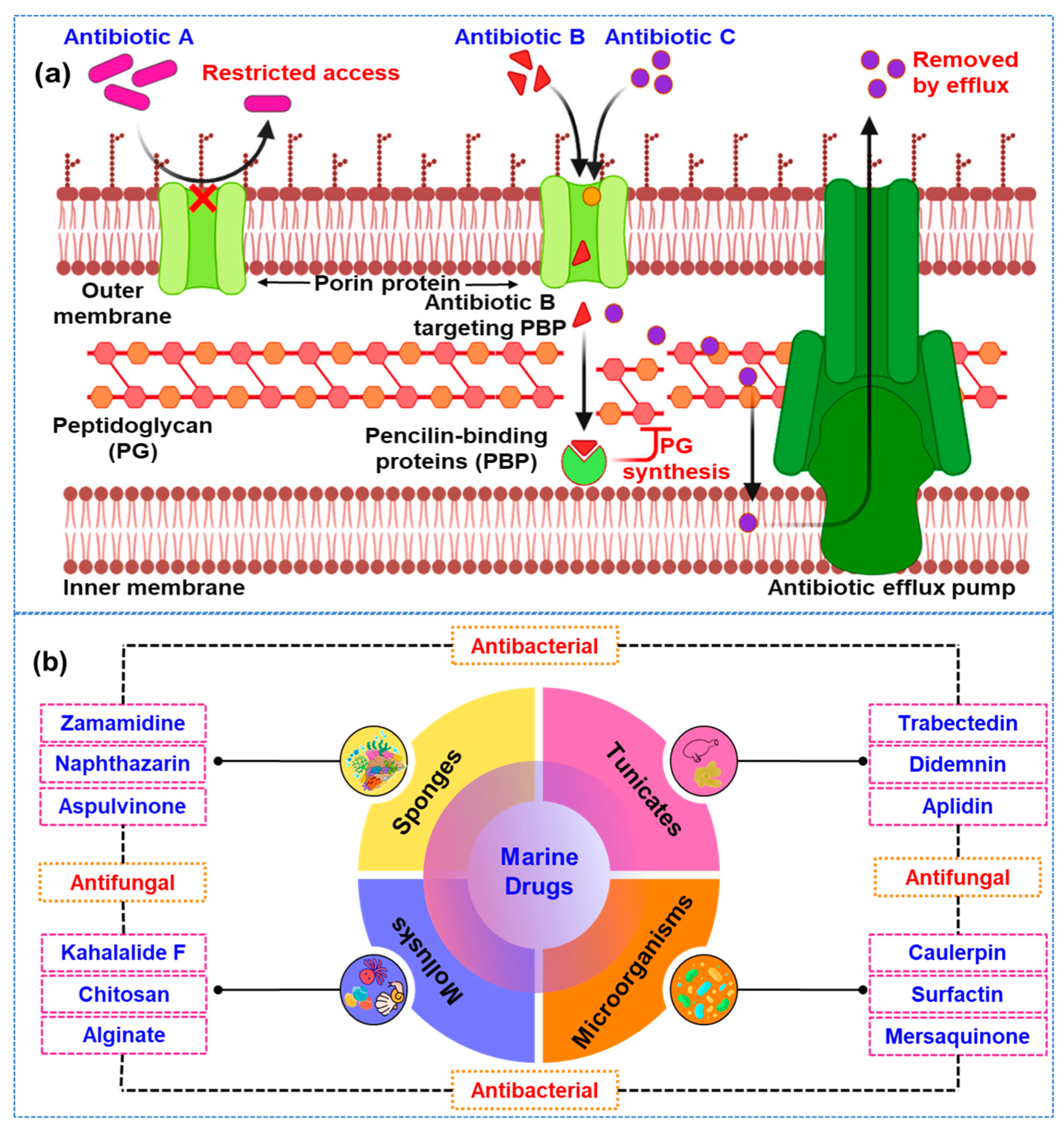 Marinedrugs 22 00348 g001