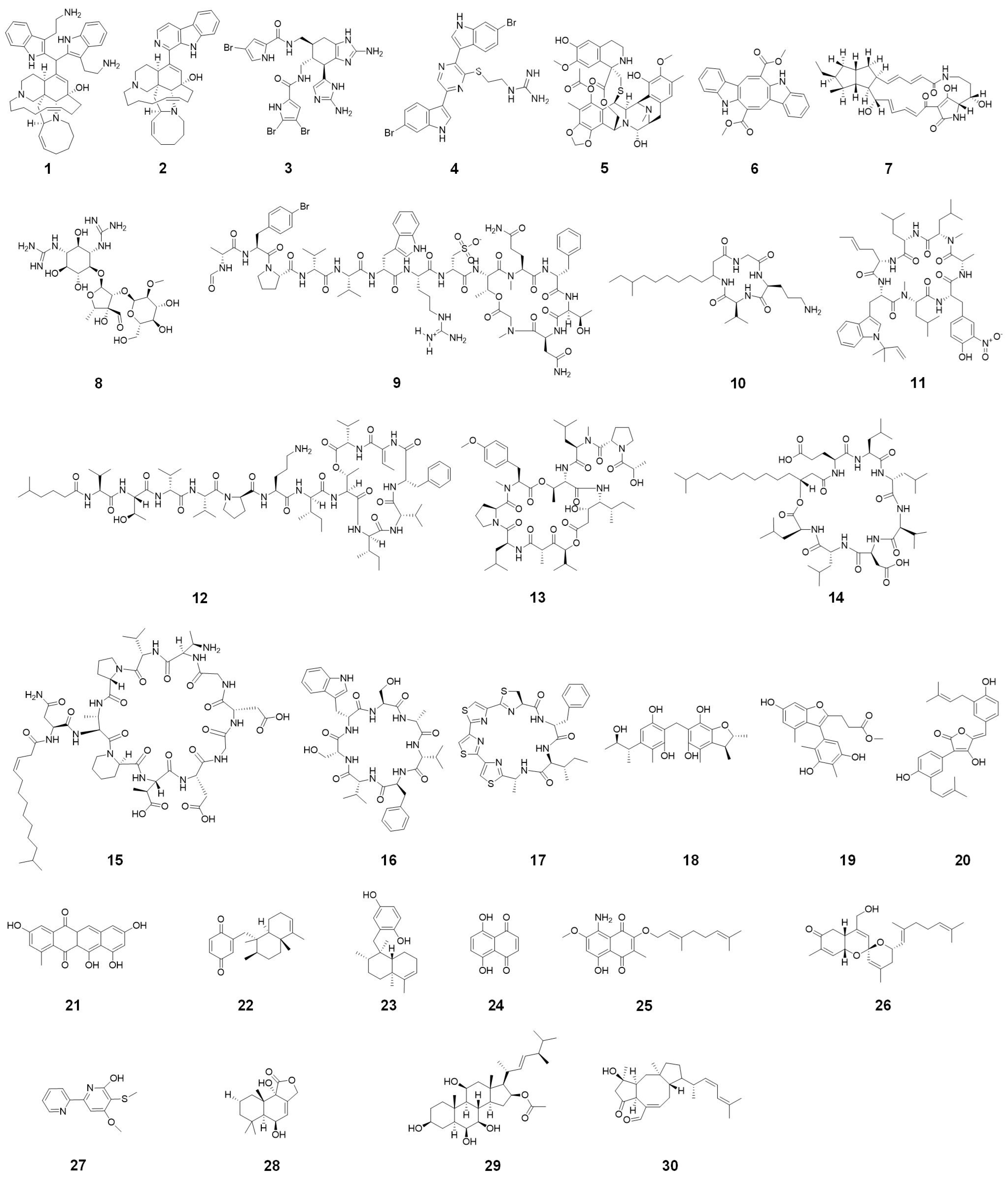 Marinedrugs 22 00348 g002