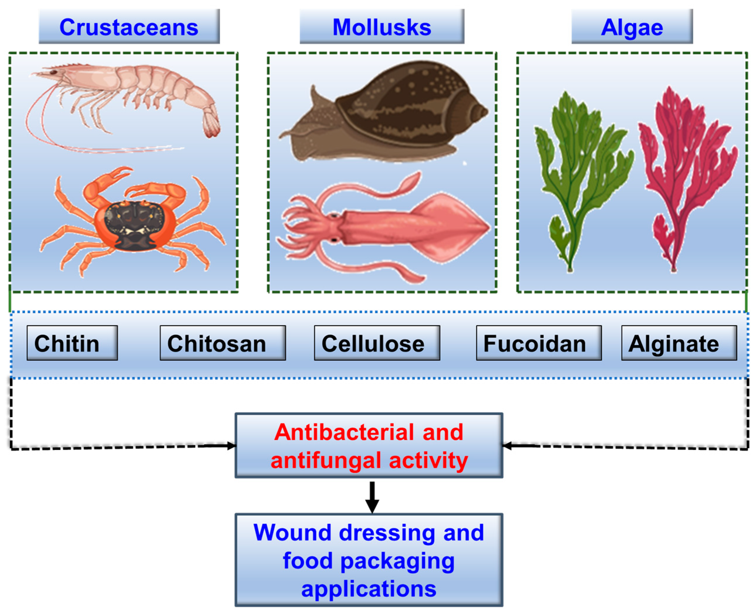 Marinedrugs 22 00348 g003