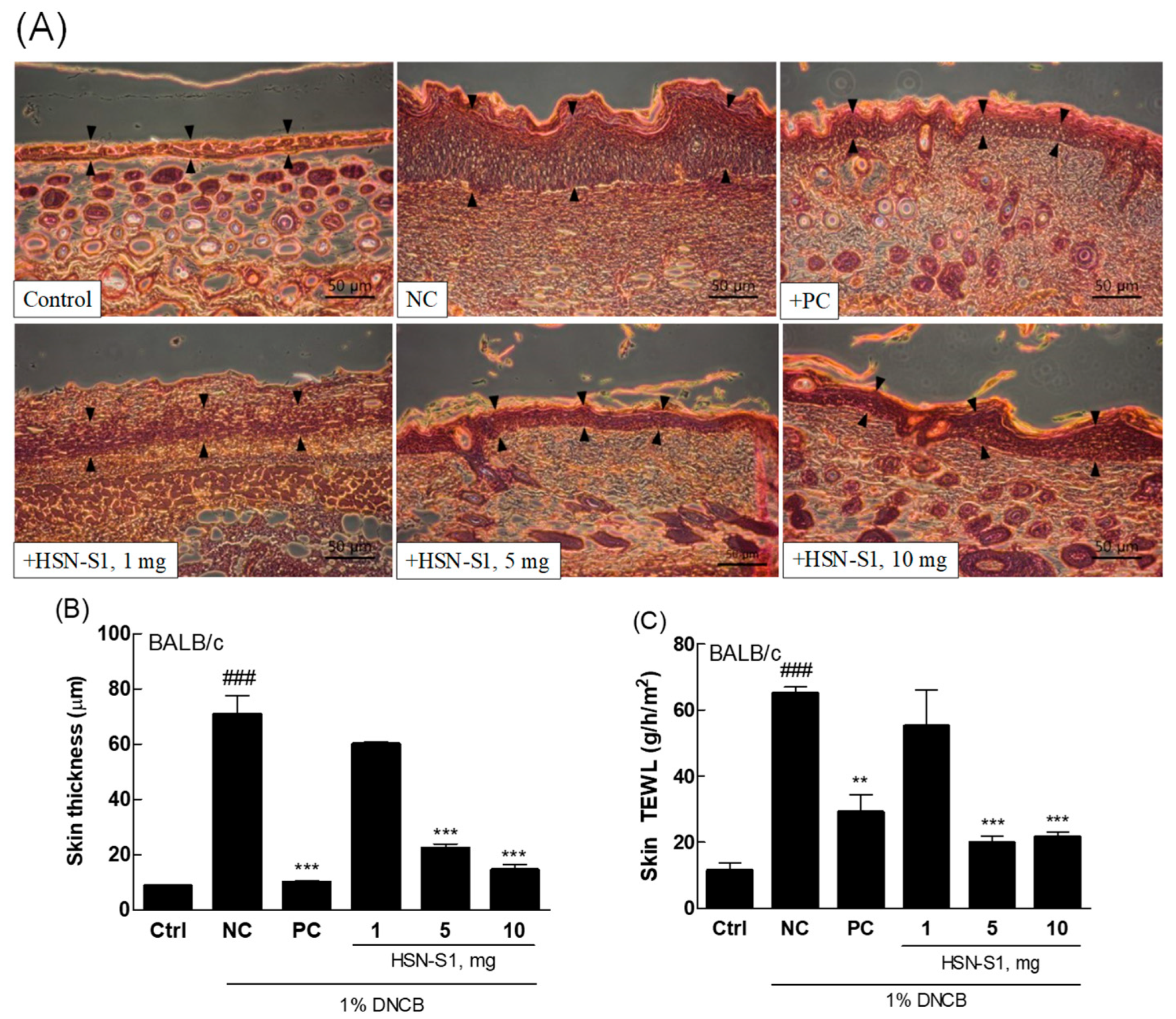 Marinedrugs 22 00354 g010
