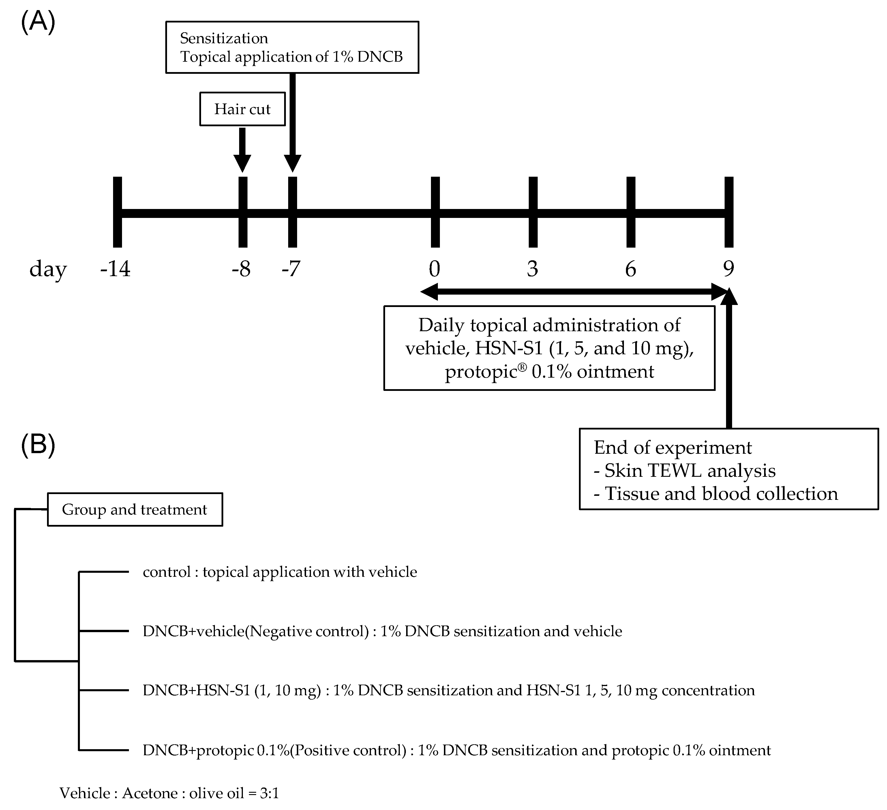 Marinedrugs 22 00354 g013