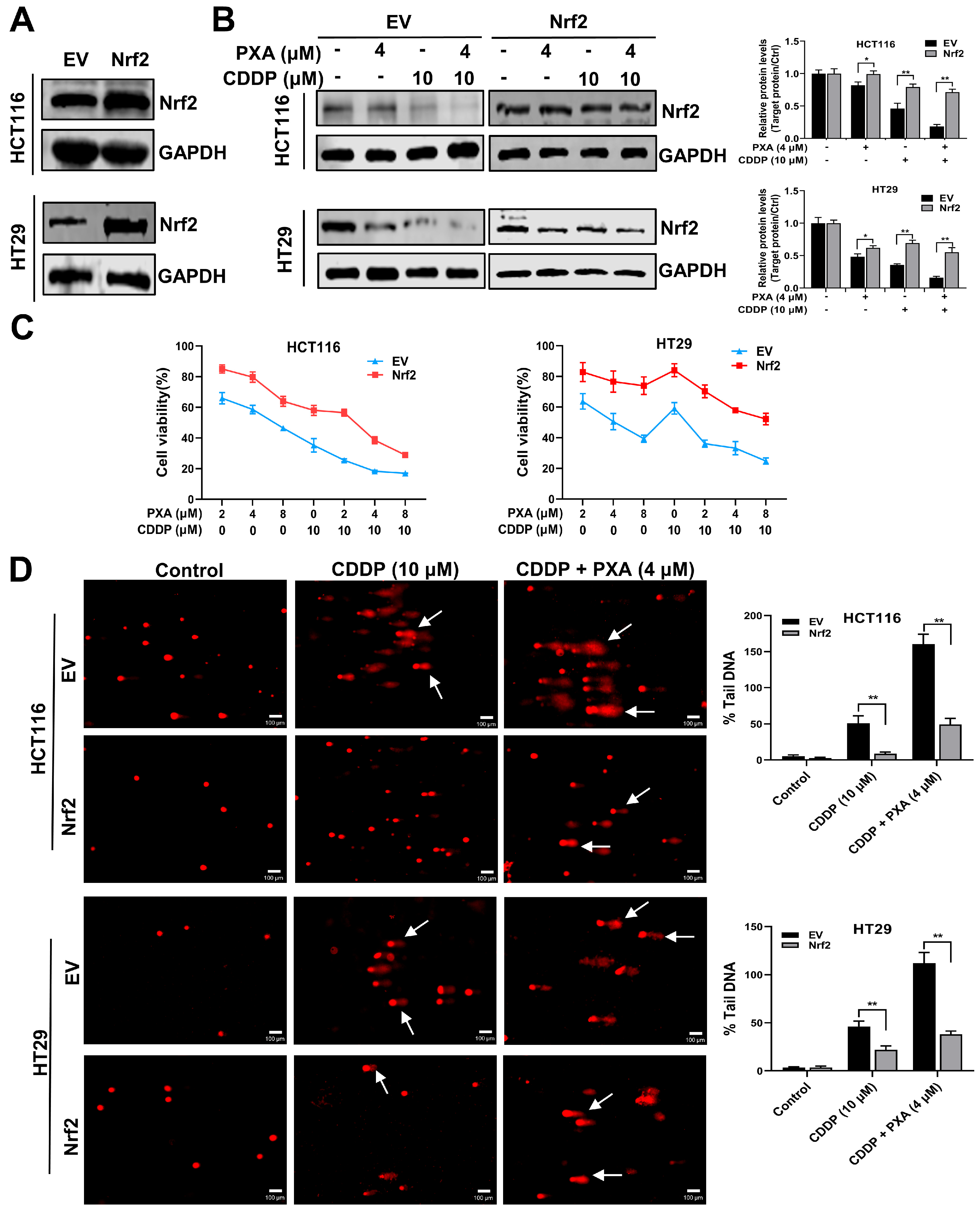 Marinedrugs 22 00357 g005