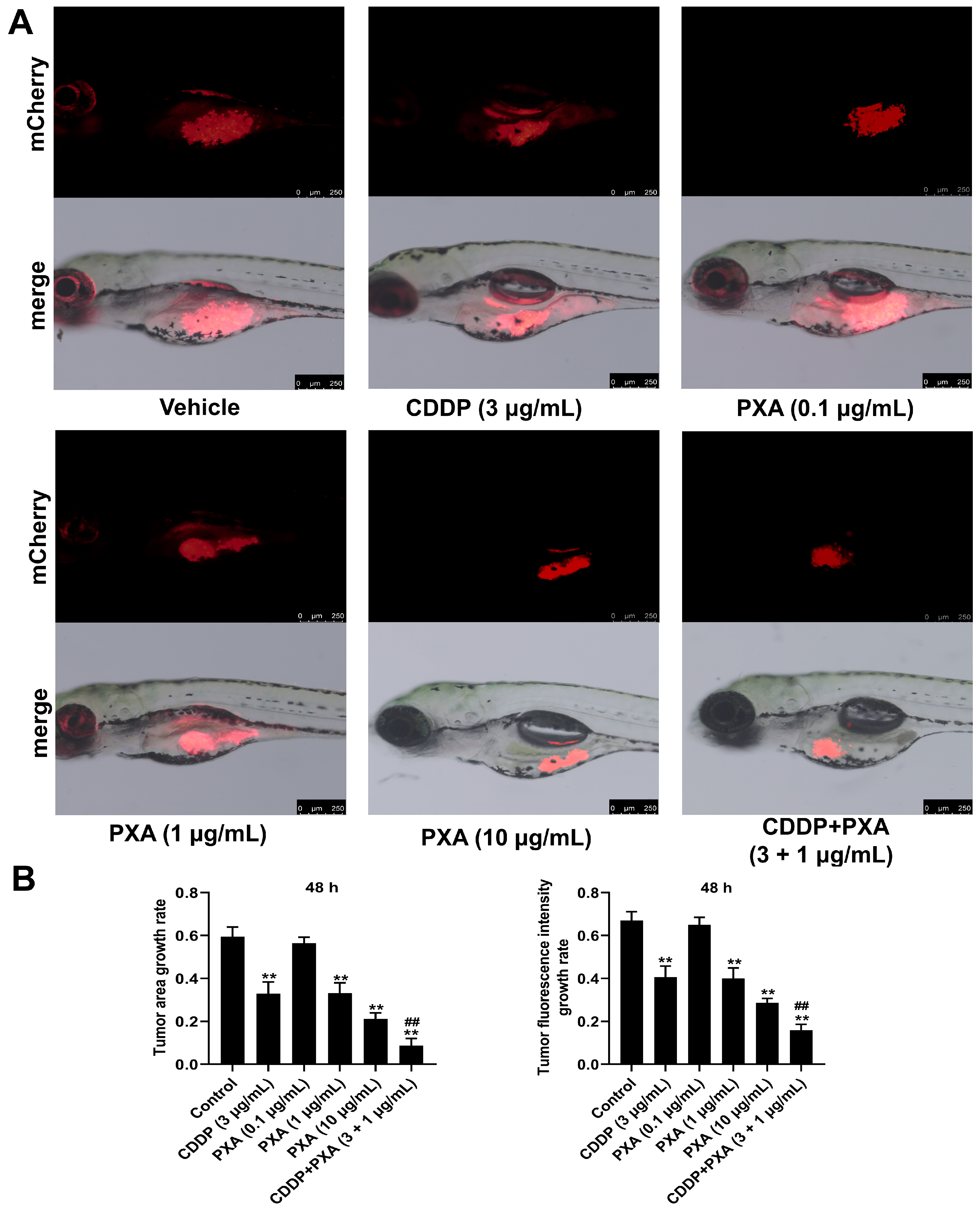 Marinedrugs 22 00357 g007