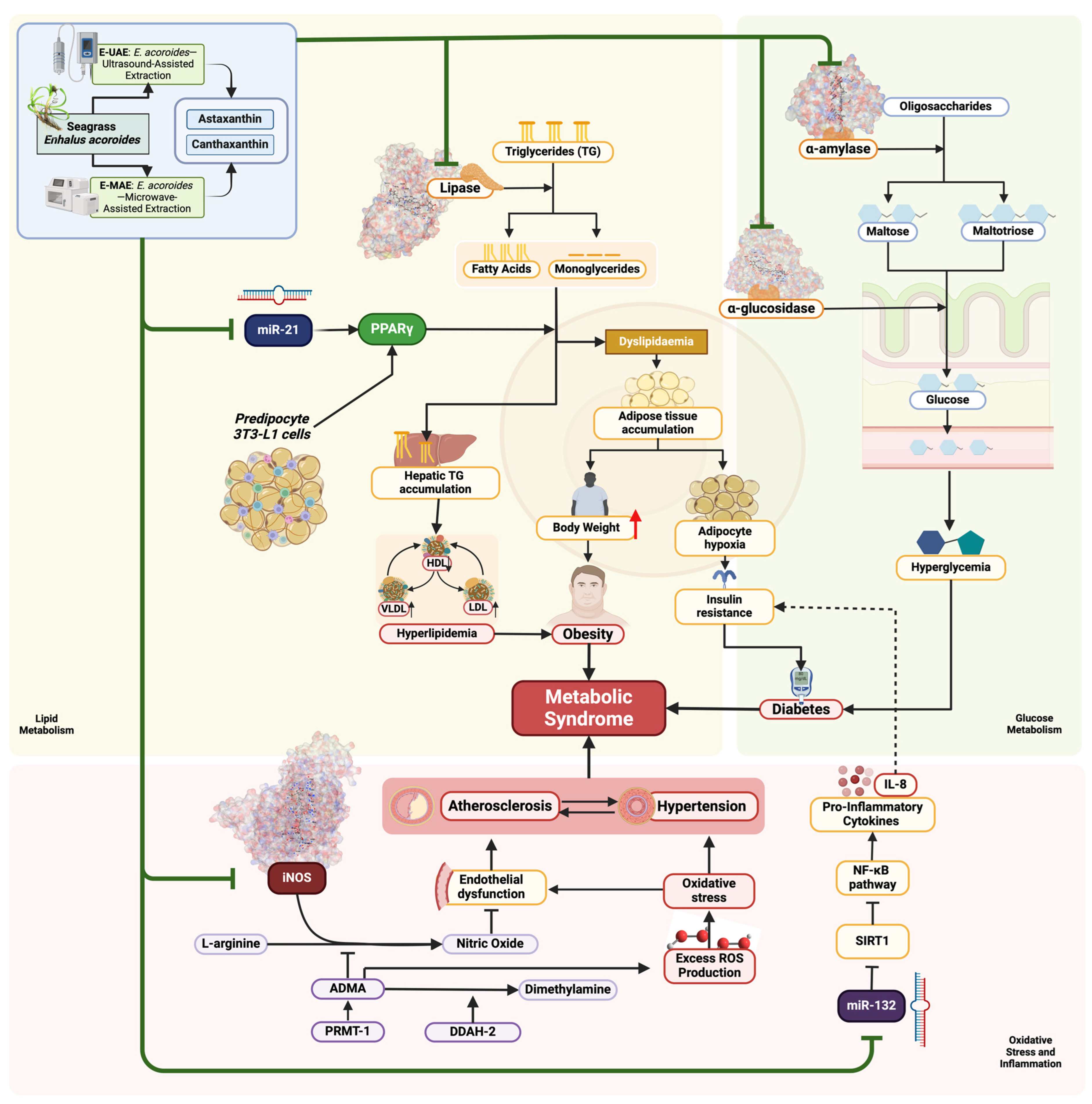 Marinedrugs 22 00365 g006