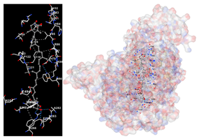 Marinedrugs 22 00365 i001 Marinedrugs 22 00365 i001