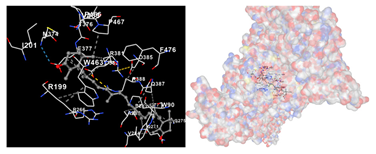 Marinedrugs 22 00365 i002 Marinedrugs 22 00365 i002