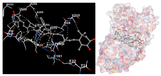 Marinedrugs 22 00365 i003 Marinedrugs 22 00365 i003