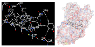 Marinedrugs 22 00365 i004 Marinedrugs 22 00365 i004