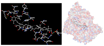 Marinedrugs 22 00365 i005 Marinedrugs 22 00365 i005