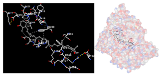 Marinedrugs 22 00365 i006 Marinedrugs 22 00365 i006