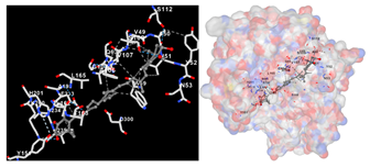 Marinedrugs 22 00365 i007 Marinedrugs 22 00365 i007