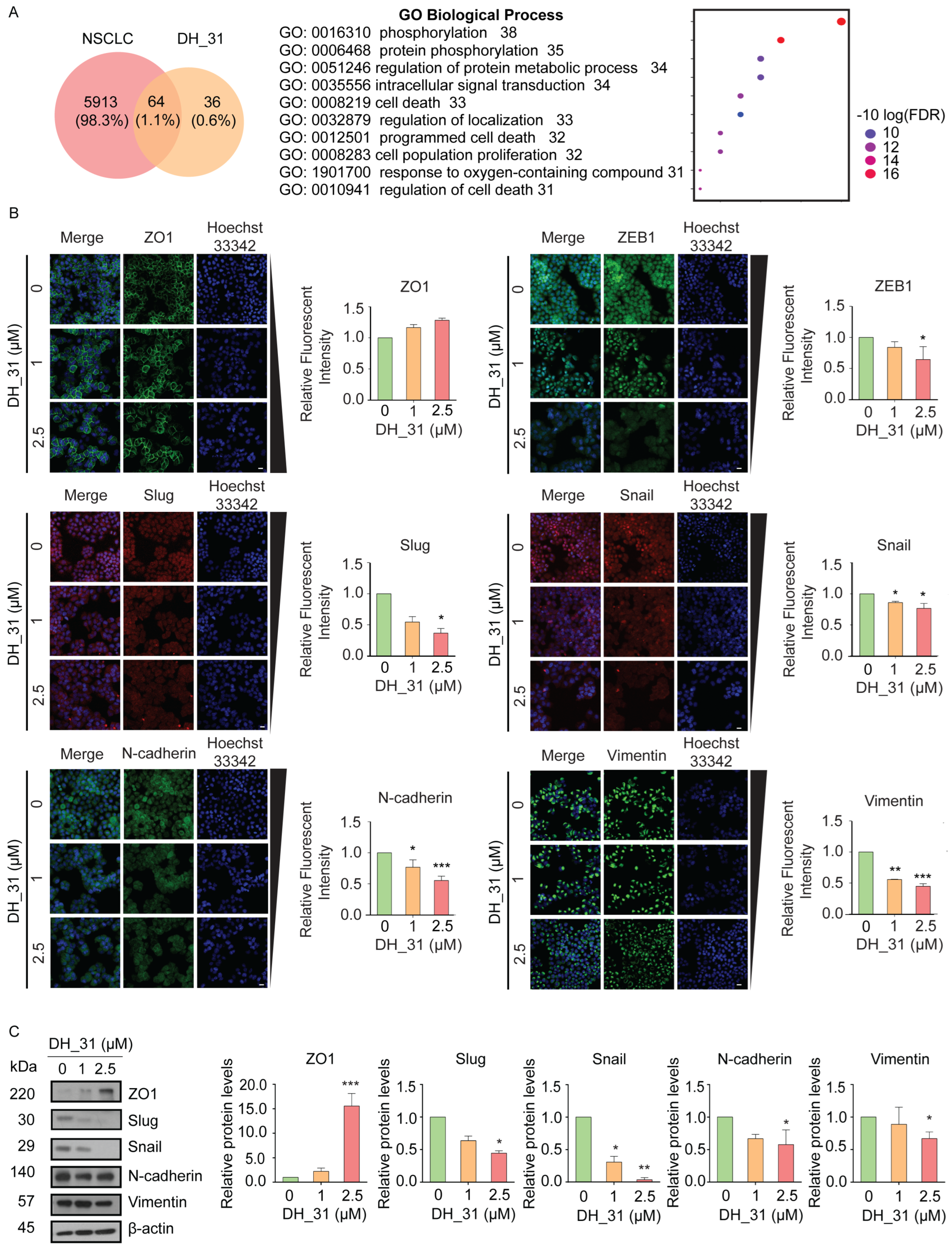 Marinedrugs 22 00370 g003