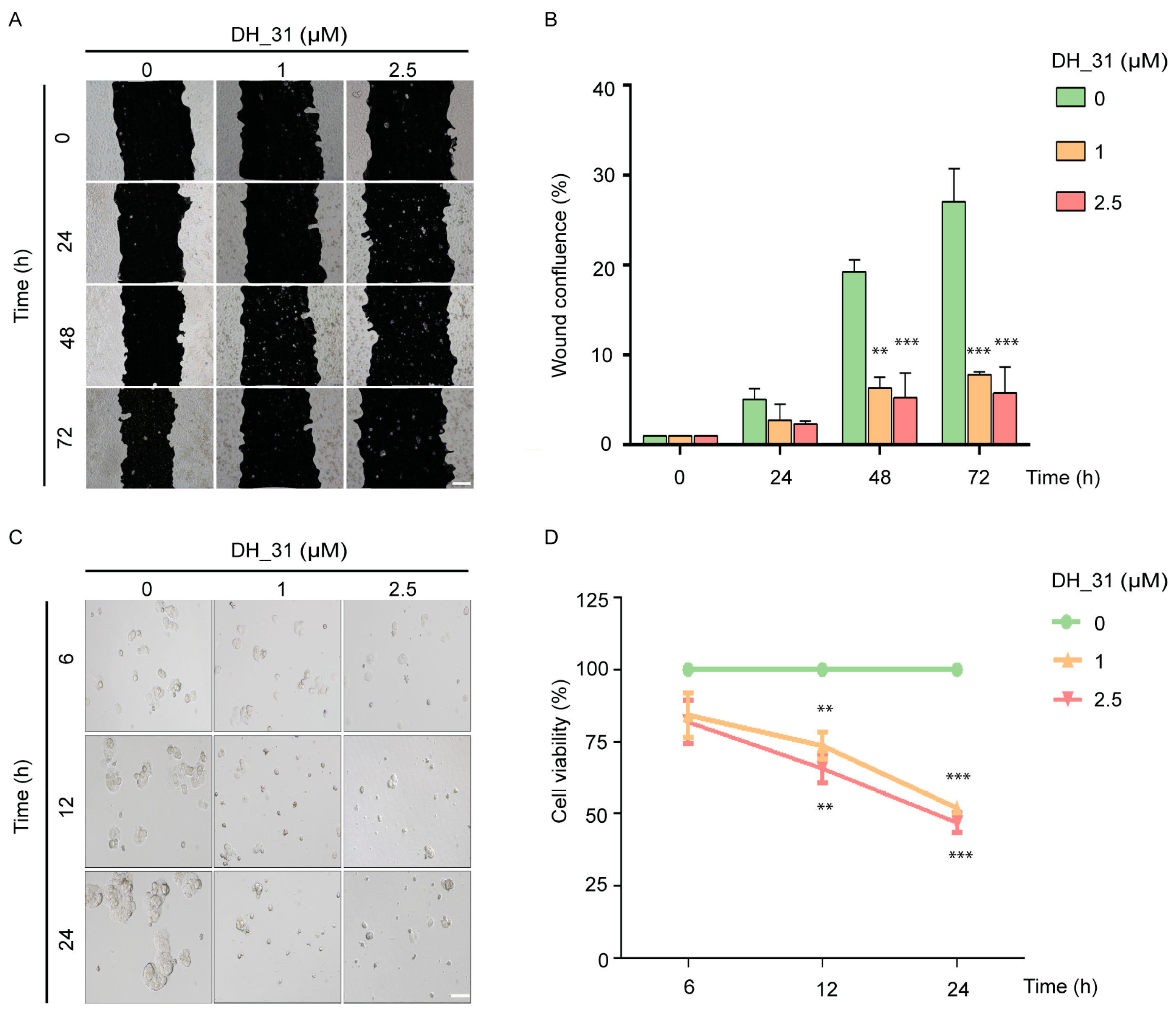 Marinedrugs 22 00370 g004