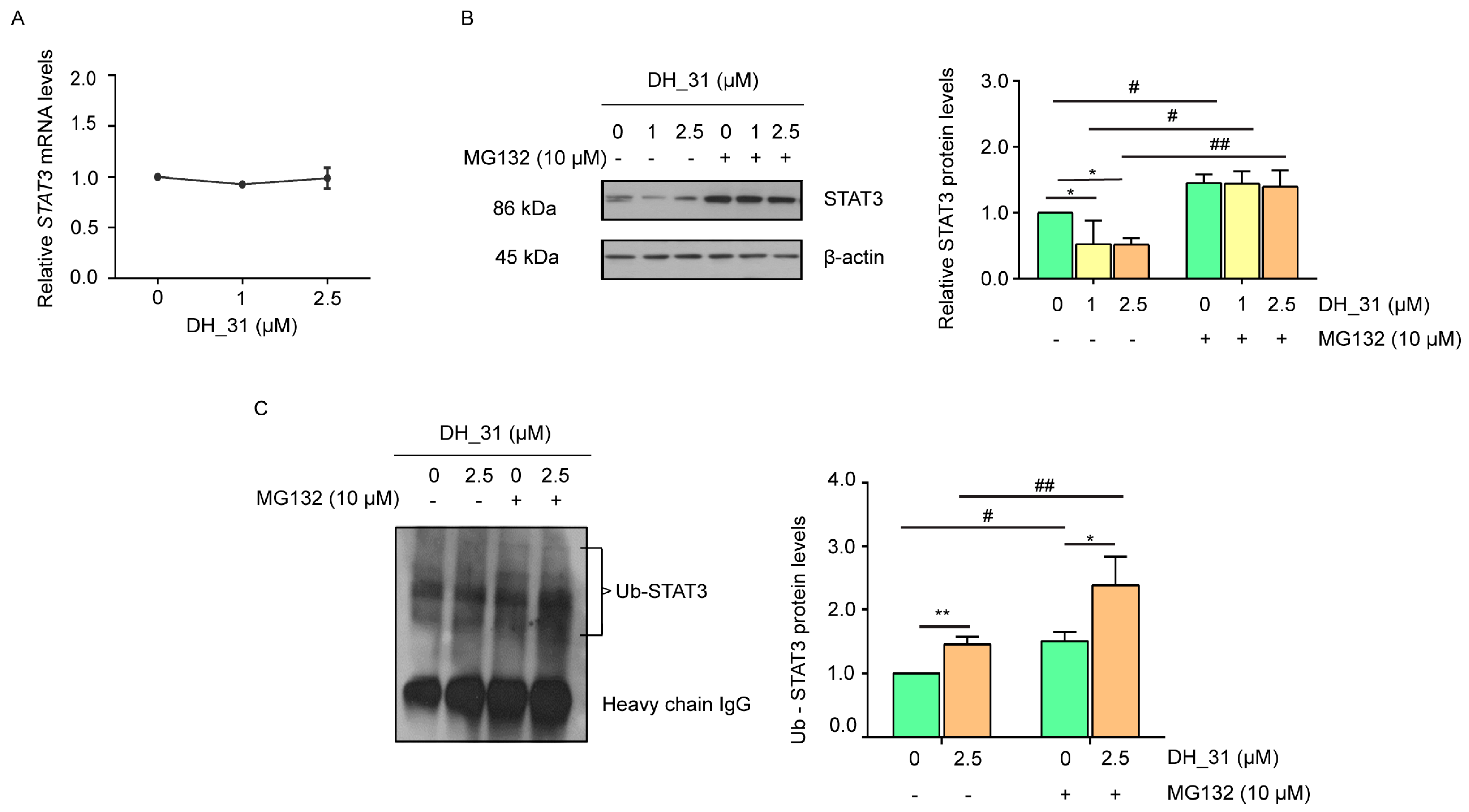Marinedrugs 22 00370 g006