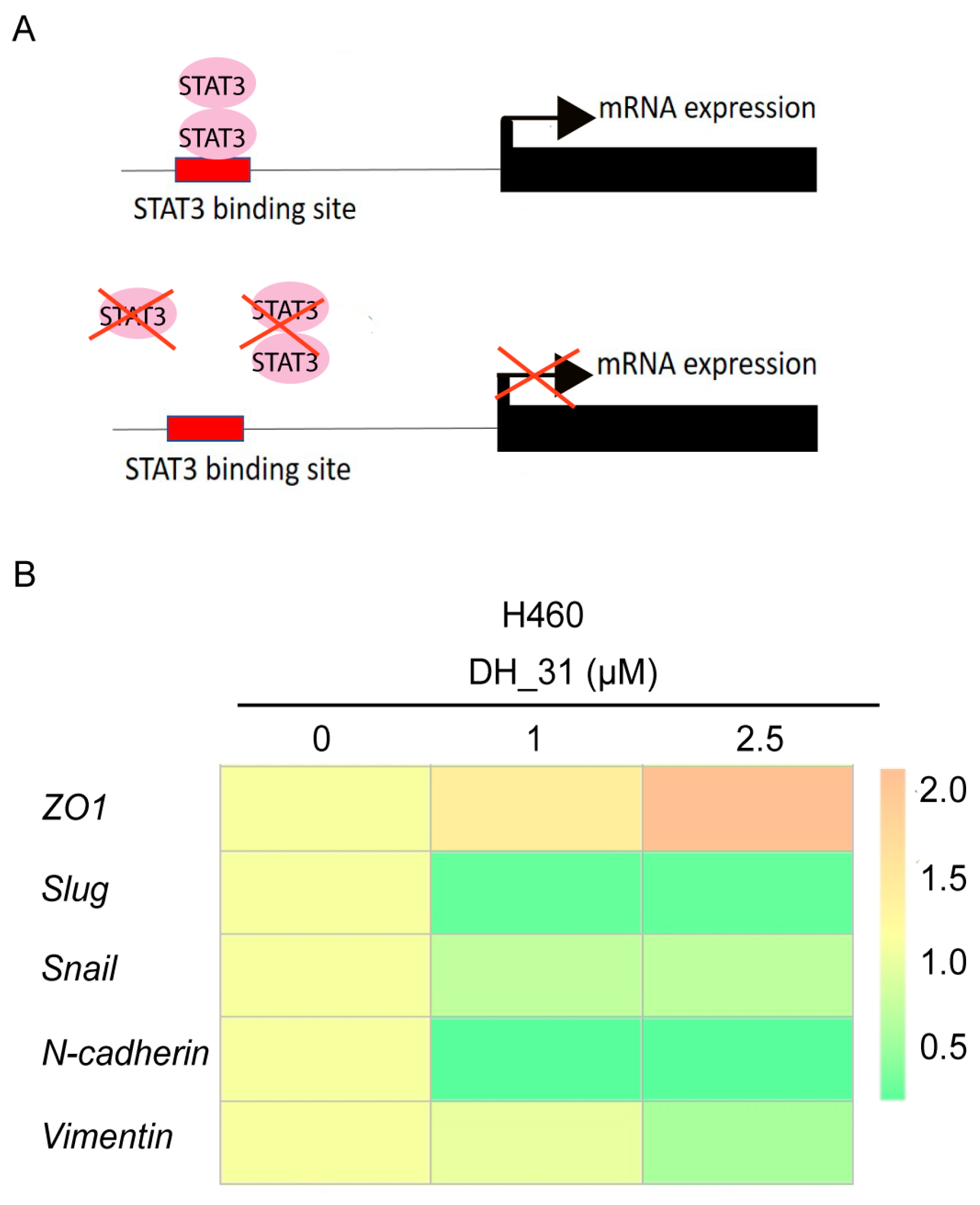 Marinedrugs 22 00370 g008