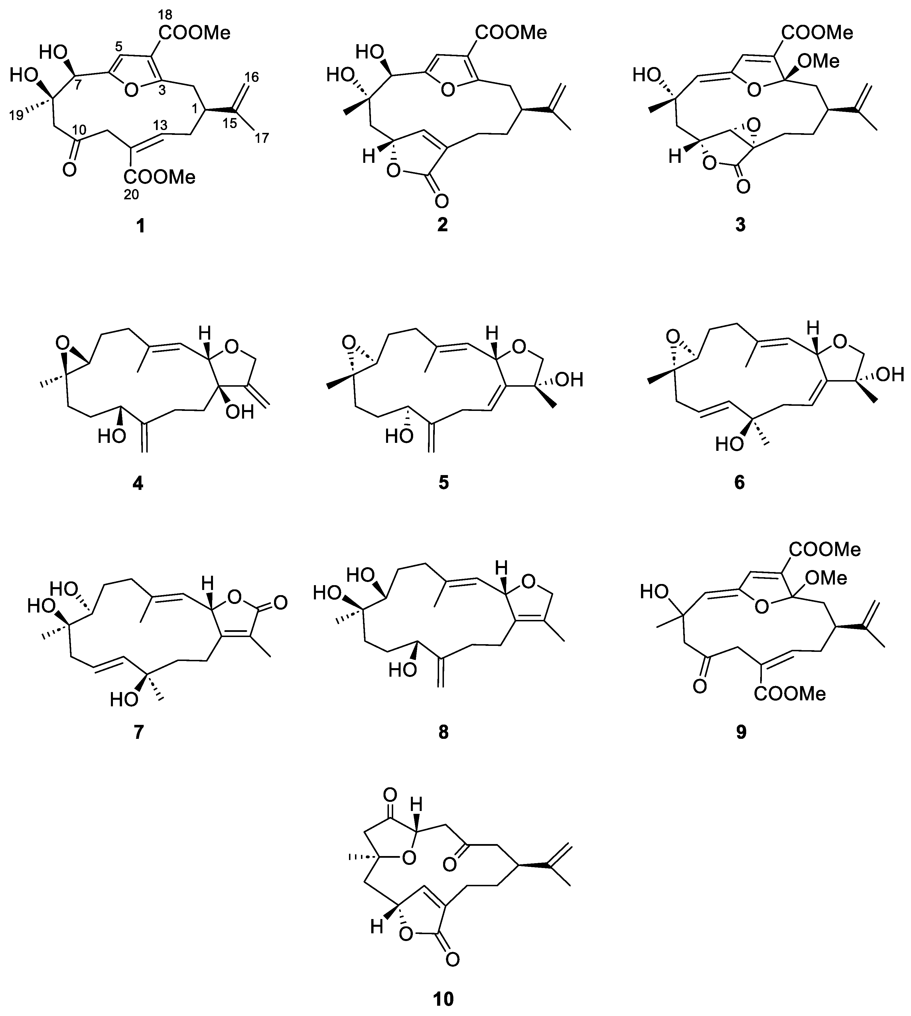 Marinedrugs 22 00373 g001 Marinedrugs 22 00373 g001