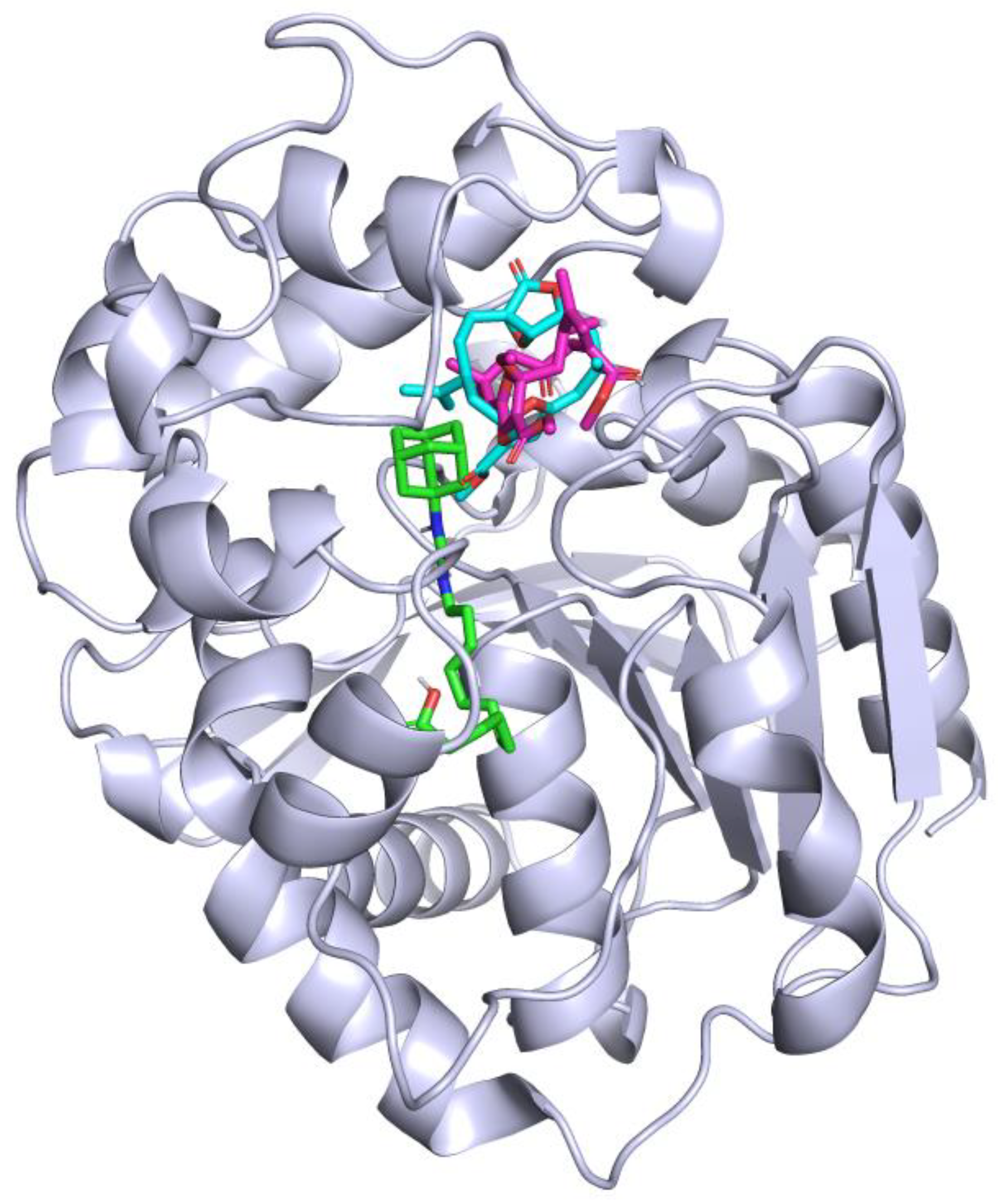 Marinedrugs 22 00373 g003 Marinedrugs 22 00373 g003