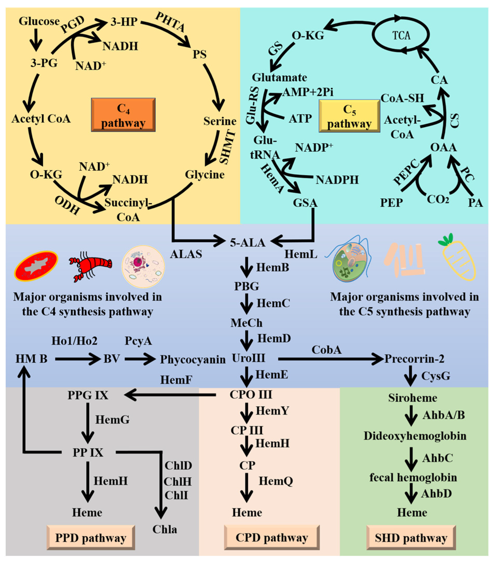 Marinedrugs 22 00378 g001