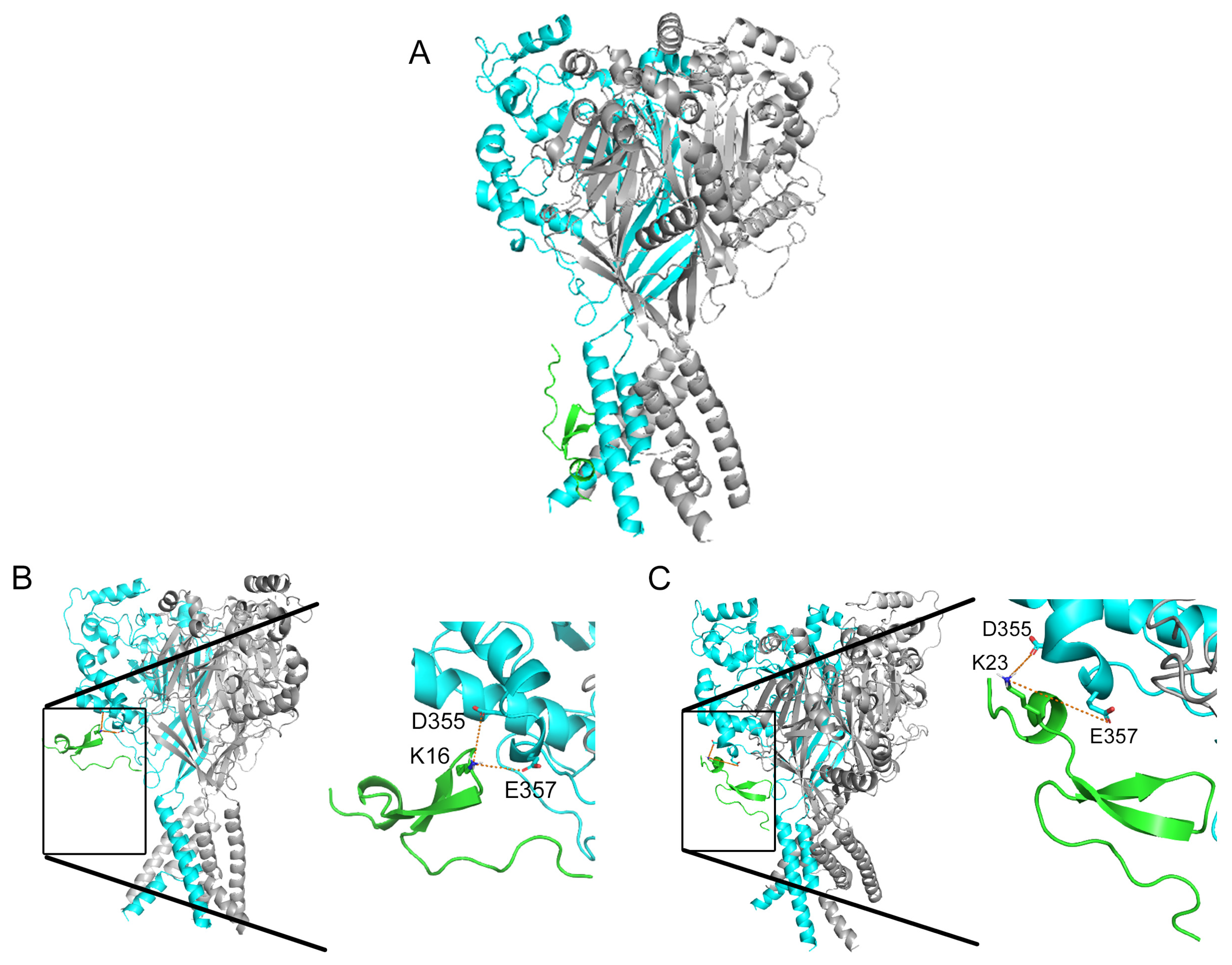 Marinedrugs 22 00382 g002 Marinedrugs 22 00382 g002