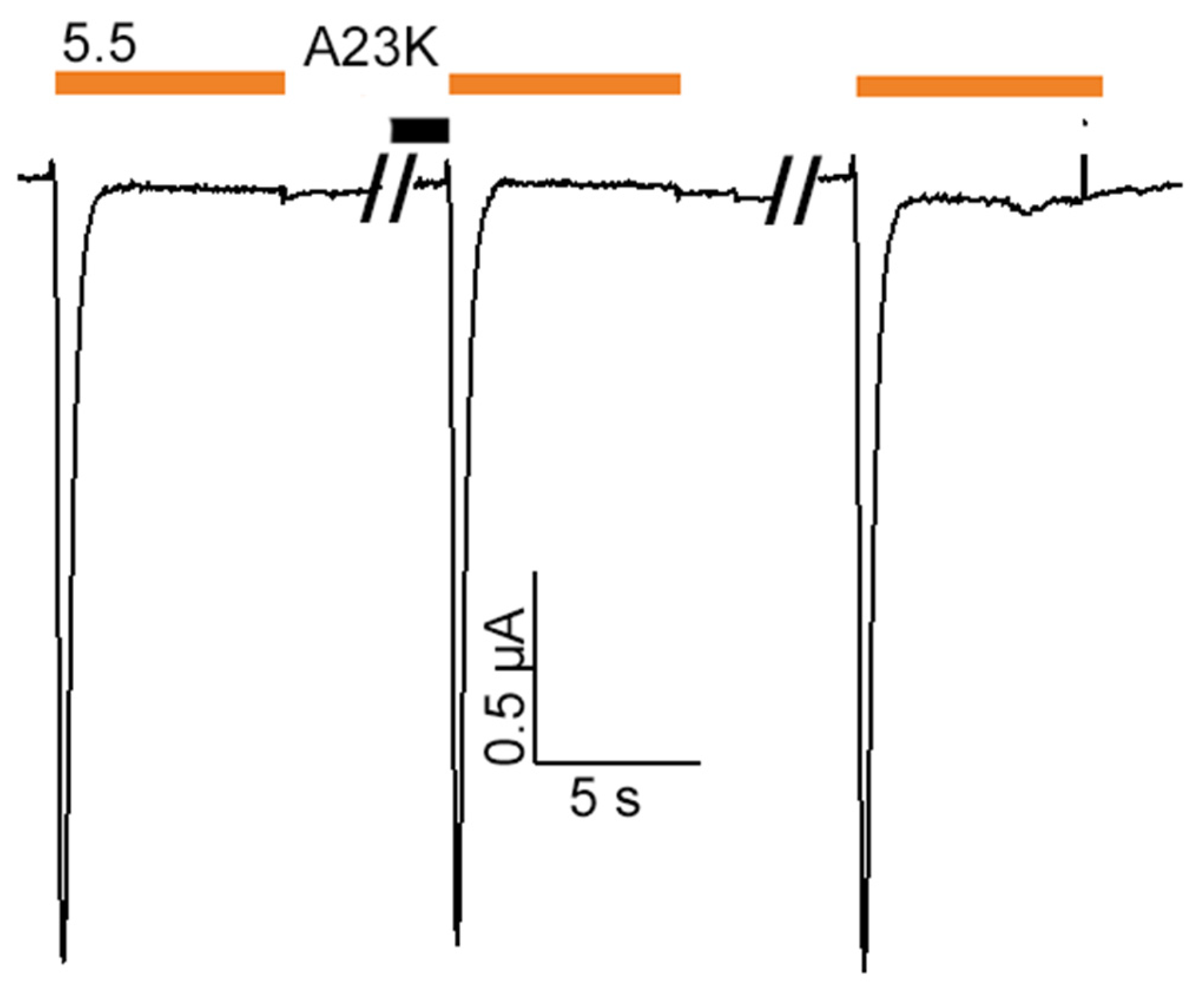 Marinedrugs 22 00382 g0a3 Marinedrugs 22 00382 g0a3