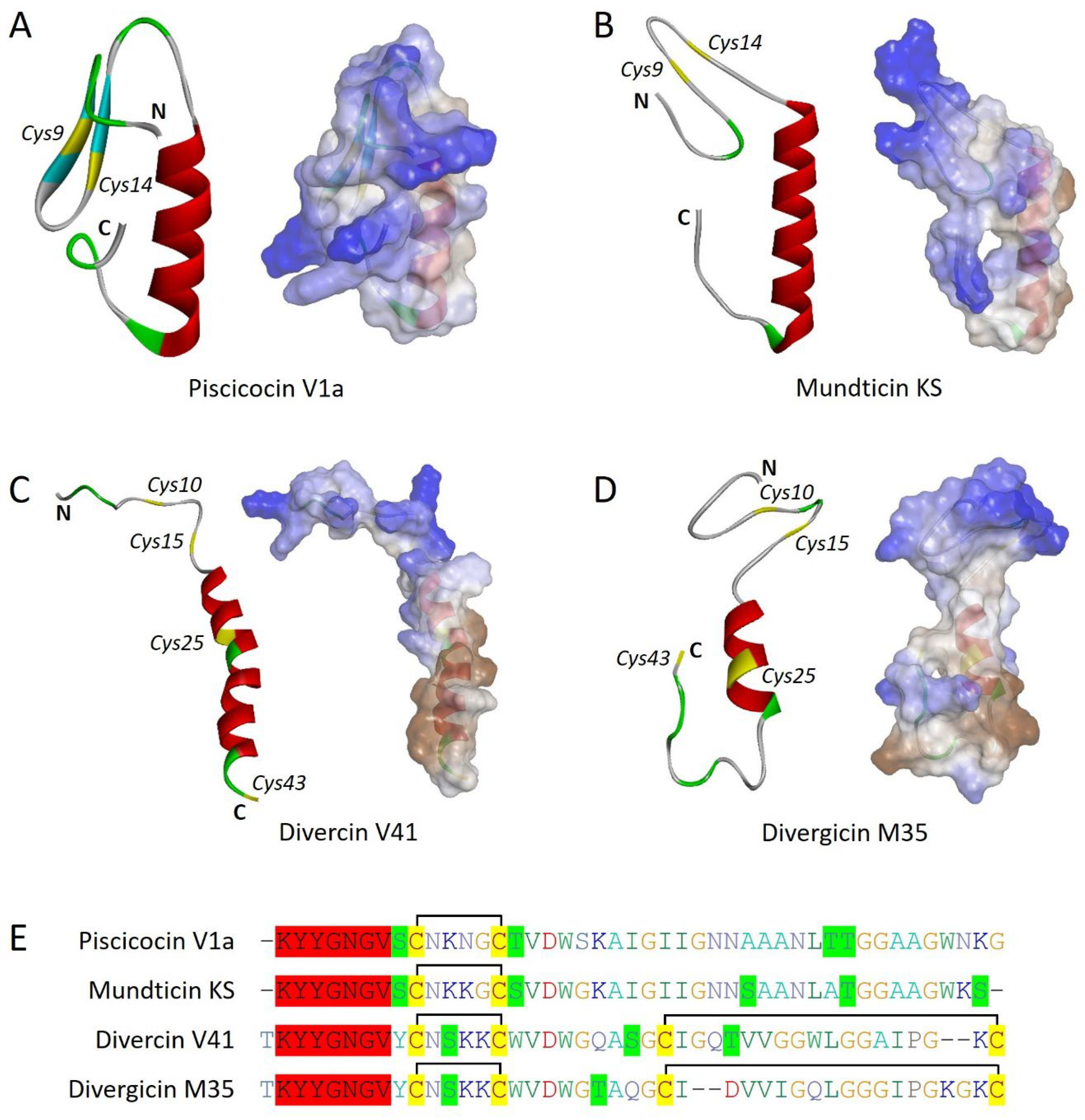 Marinedrugs 22 00388 g001