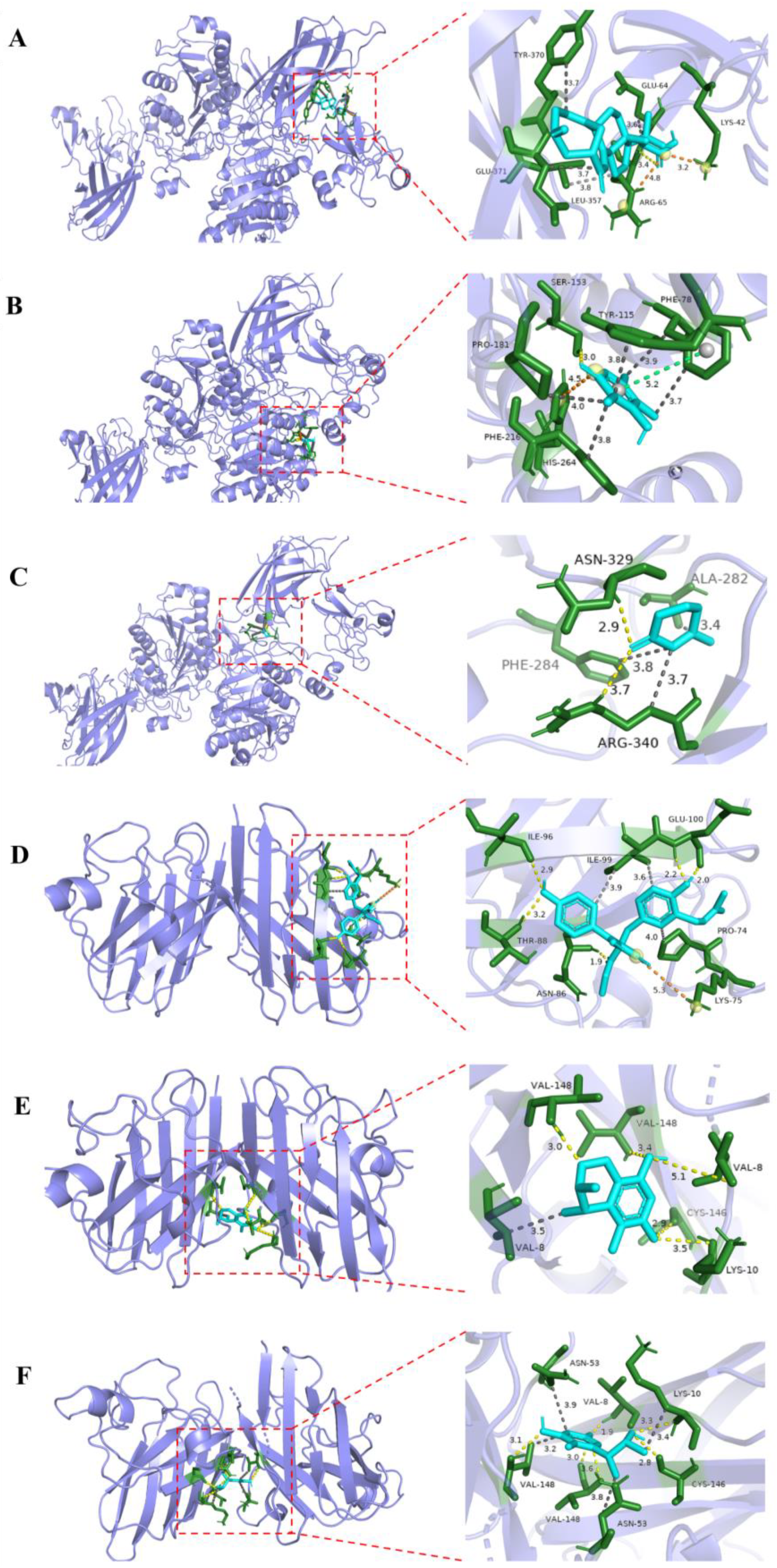 Marinedrugs 22 00393 g006