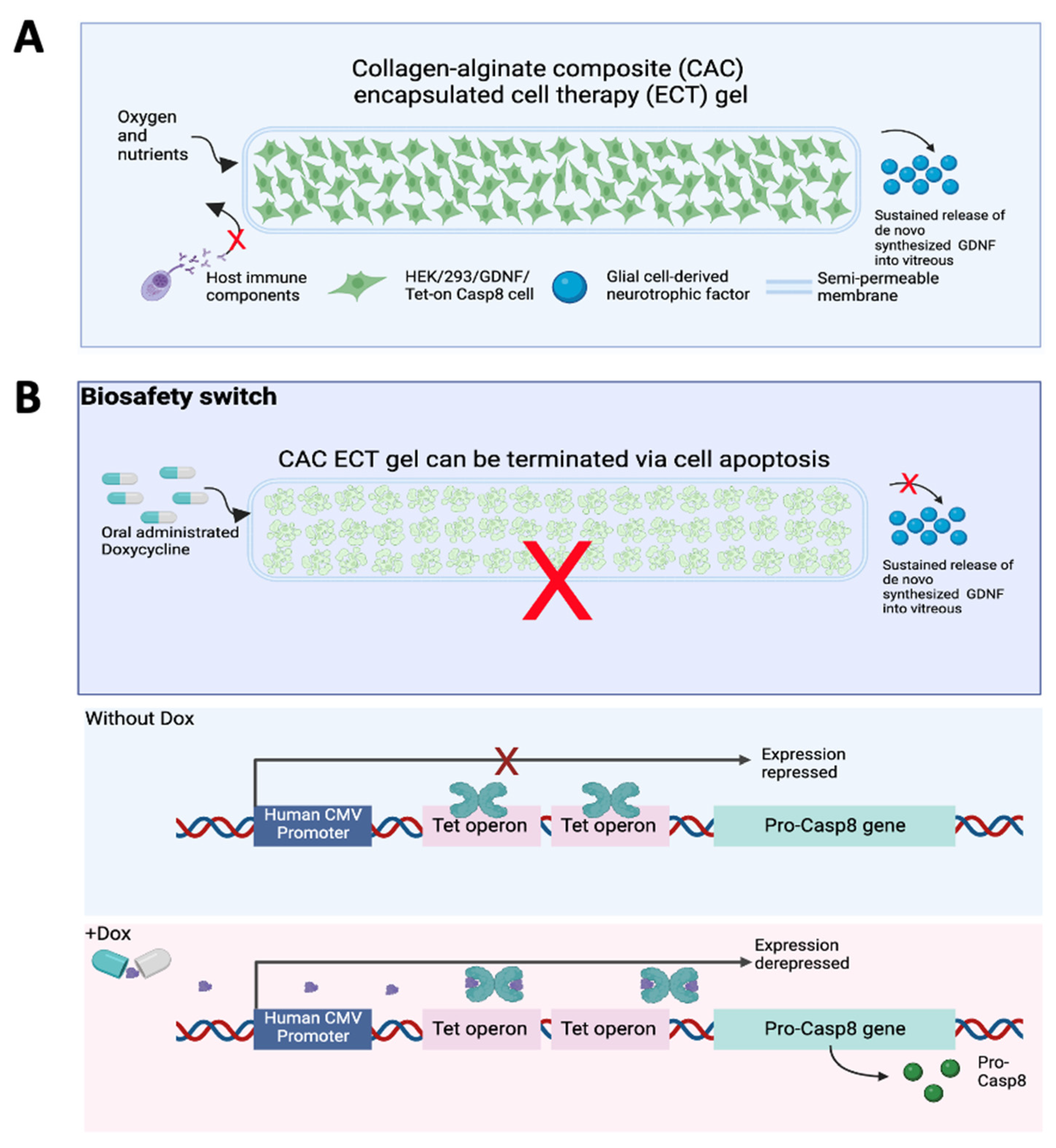 Marinedrugs 22 00394 g001