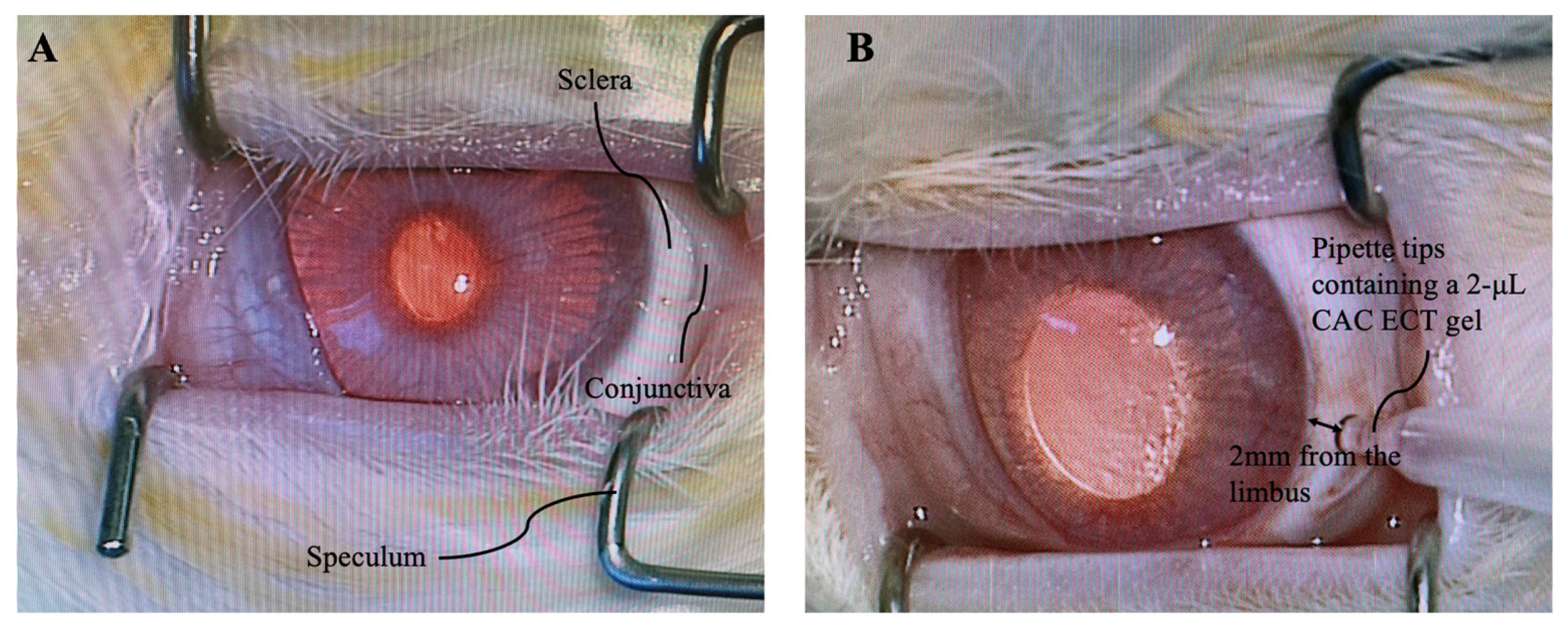 Marinedrugs 22 00394 g009
