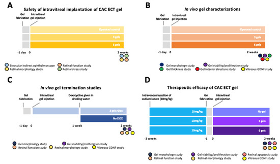 Marinedrugs 22 00394 g010