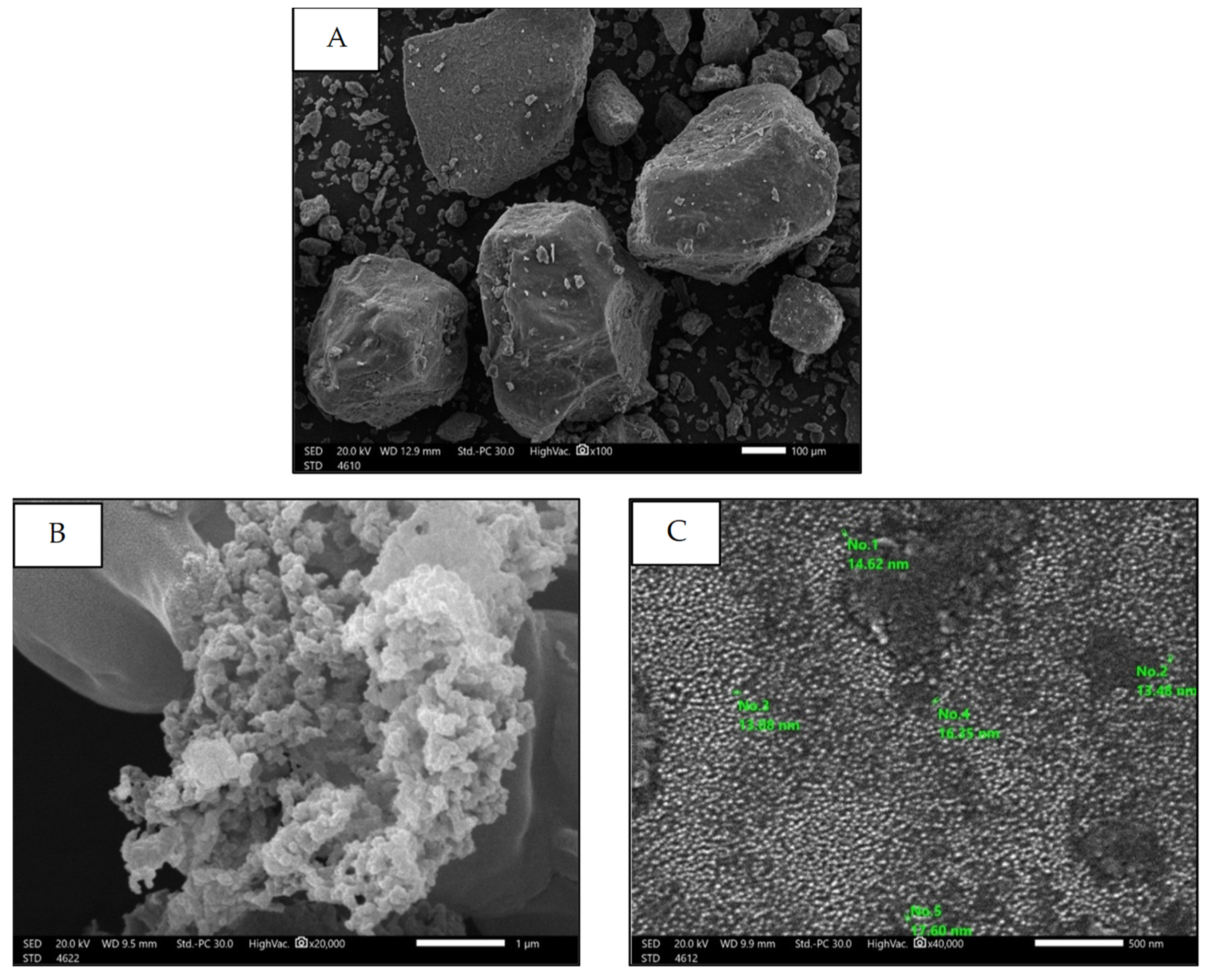 Marinedrugs 22 00395 g005 Marinedrugs 22 00395 g005