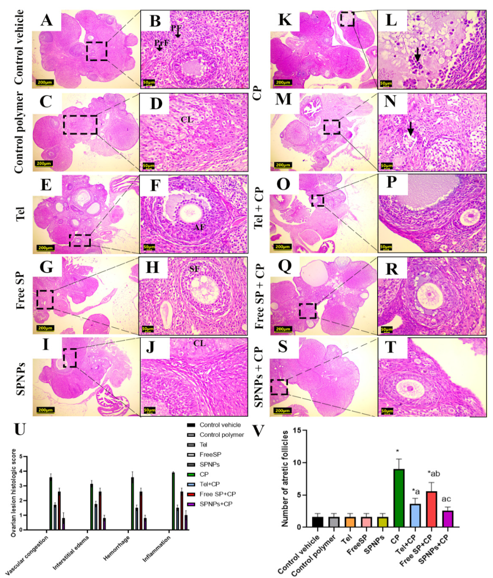 Marinedrugs 22 00395 g012 Marinedrugs 22 00395 g012